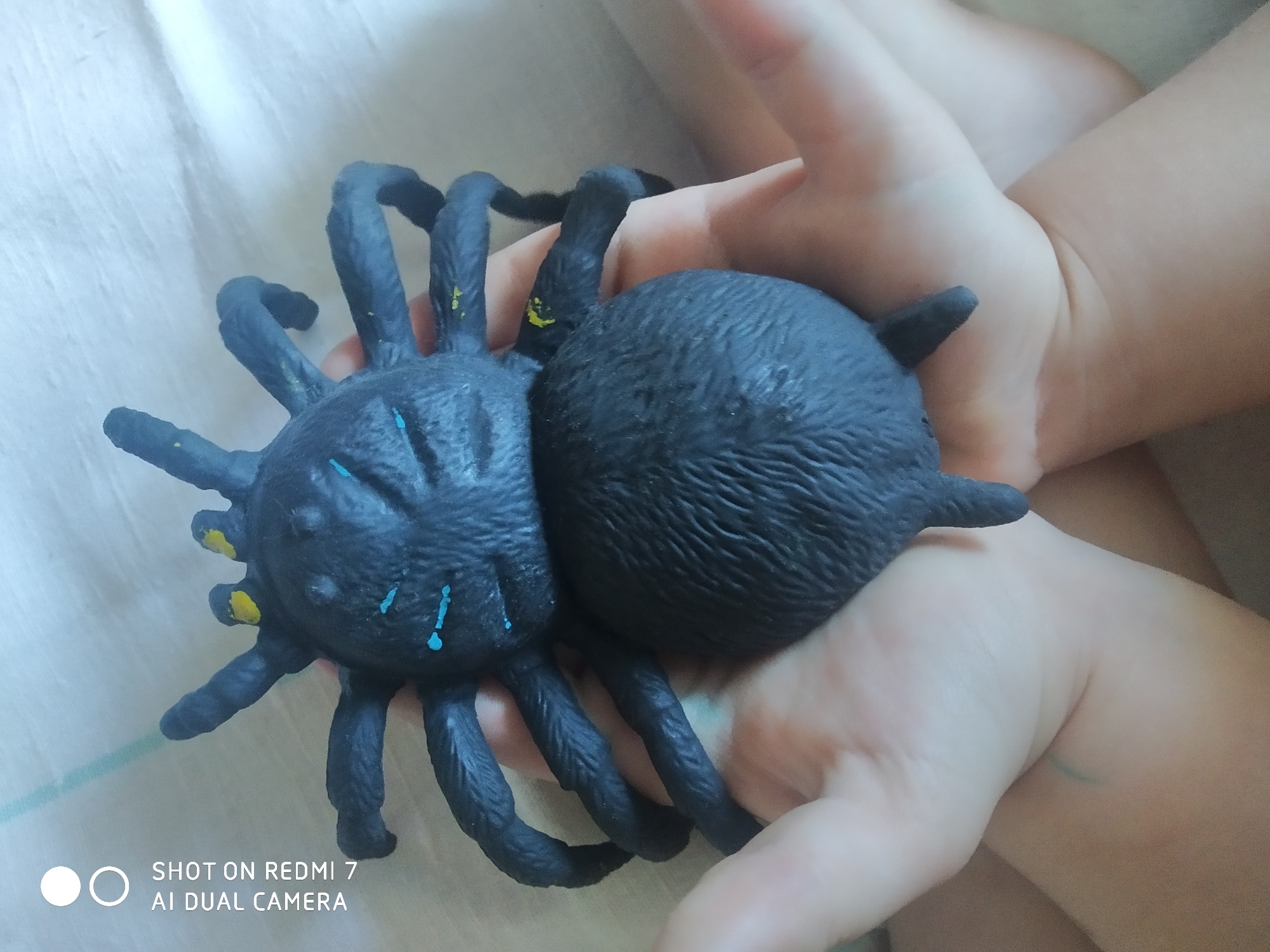 A child's hands are holding a black, plastic toy spider with eight legs. The spider has yellow and blue markings on its body. The background is a white sheet. The location is not identifiable in the image.