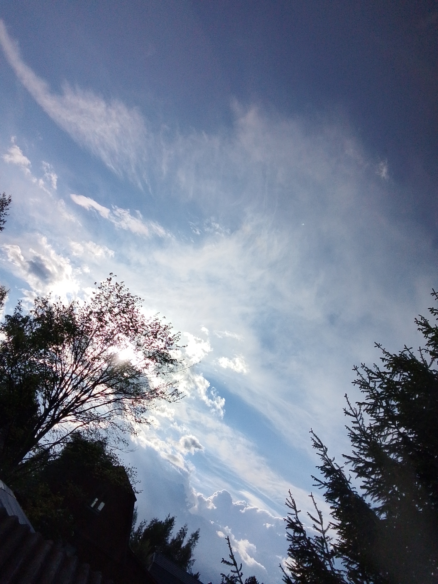 The image shows a view of the sky, likely taken from ground level in 1-Go Maya, Russia. Predominantly blue sky is visible, filled with various types of clouds, including cirrus clouds and some puffy cumulus clouds near the horizon. Sunlight streams through the clouds, creating a bright glow. Silhouetted against the sky are tree branches on the left and evergreen trees on the right, adding depth to the scene. The bottom left corner shows a portion of a building and a corrugated roof.