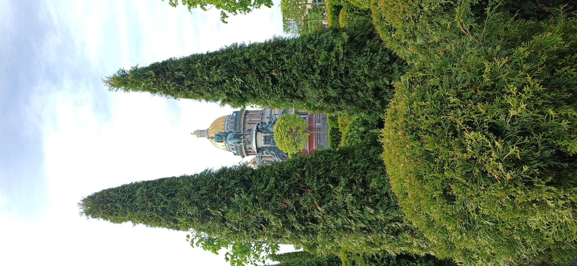 This vertical format image depicts an outdoor scene in Saint Petersburg, Russia, focusing on Saint Isaac's Cathedral and its surrounding parkland.
In the foreground, the lower two-thirds of the image are filled with dense, manicured evergreen vegetation. Two prominent, tall, dark green, conical evergreen trees, likely members of the Thuja or Cupressus genus, stand symmetrically, one on the left and one on the right, framing the central midground. Below these, a thick expanse of intricately branched evergreen bushes, characterized by scale-like foliage in various shades of green, forms a textured ground cover and low hedges.
In the midground, between the two tall trees and behind the lower bushes, the Monument to Nicholas I is partially visible. This bronze equestrian statue features a figure on horseback mounted on a tall, rectangular pedestal adorned with additional sculptural figures. To the left and right of the monument, smaller, neatly pruned spherical trees with lighter green foliage are present.
The background is dominated by Saint Isaac's Cathedral. Its large, distinctive golden dome is prominent, reflecting light under a bright, partly cloudy sky. The cathedral's classical architecture, including its porticoes and some sculptural details beneath the dome, is discernible. The sky occupies the upper portion of the image, displaying a blend of bright white and light gray clouds. No distinct individuals or specific human activities are visible within the frame. The scene is illuminated by natural daylight.