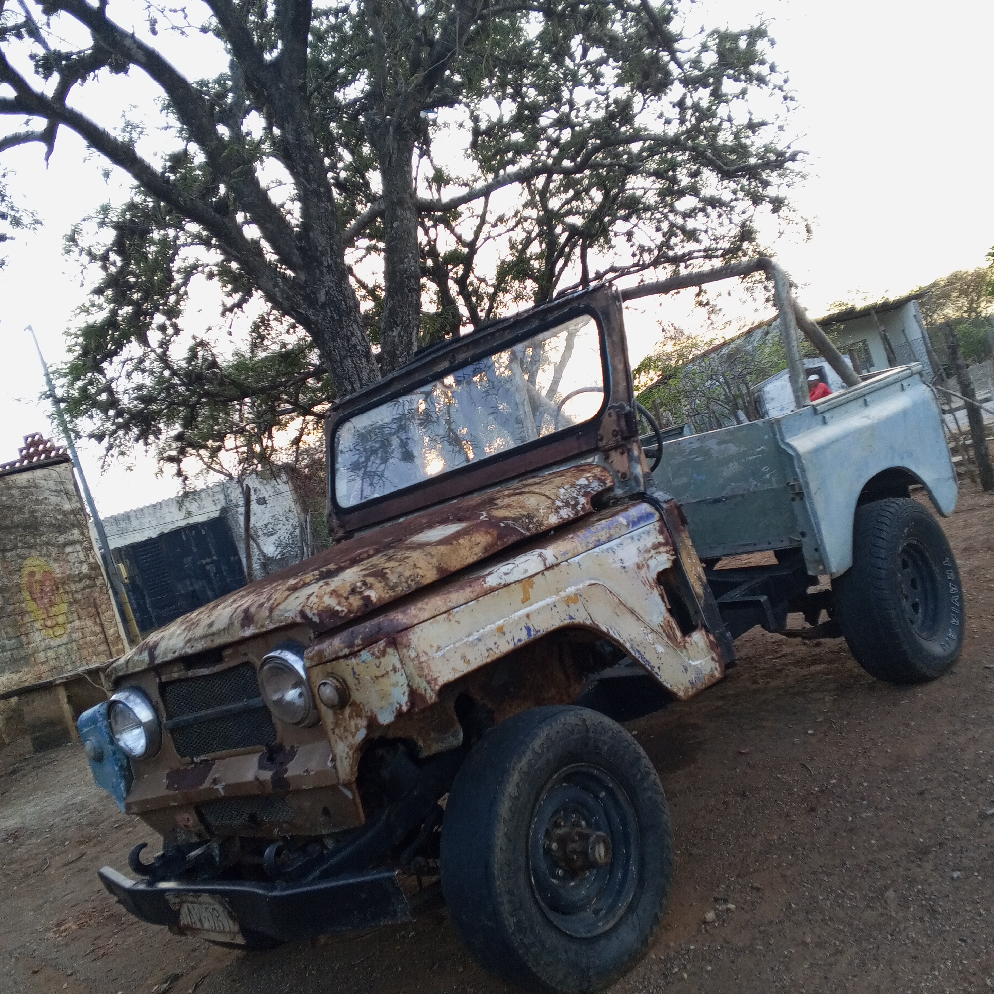 The image depicts a dilapidated, rusty, light-colored jeep-style vehicle in a state of disrepair. The vehicle is located outdoors on a dirt surface. The rear of the vehicle appears to be a modified truck bed, painted a light bluish-gray color. A large tree with many branches stands behind and to the left of the vehicle. A building with a visible wall and corrugated metal is situated on the left side of the frame. In the background, there is a structure that might be a small house or shed, and a person wearing a red shirt can be seen in the back of the vehicle. The location appears to be in a rural area, with indications of a small settlement or residential area. The overall scene suggests neglect and the passage of time. There is a license plate on the front of the car, reading “AY-913”. Altagracia, Venezuela is not definitively discernible but is listed as the city.