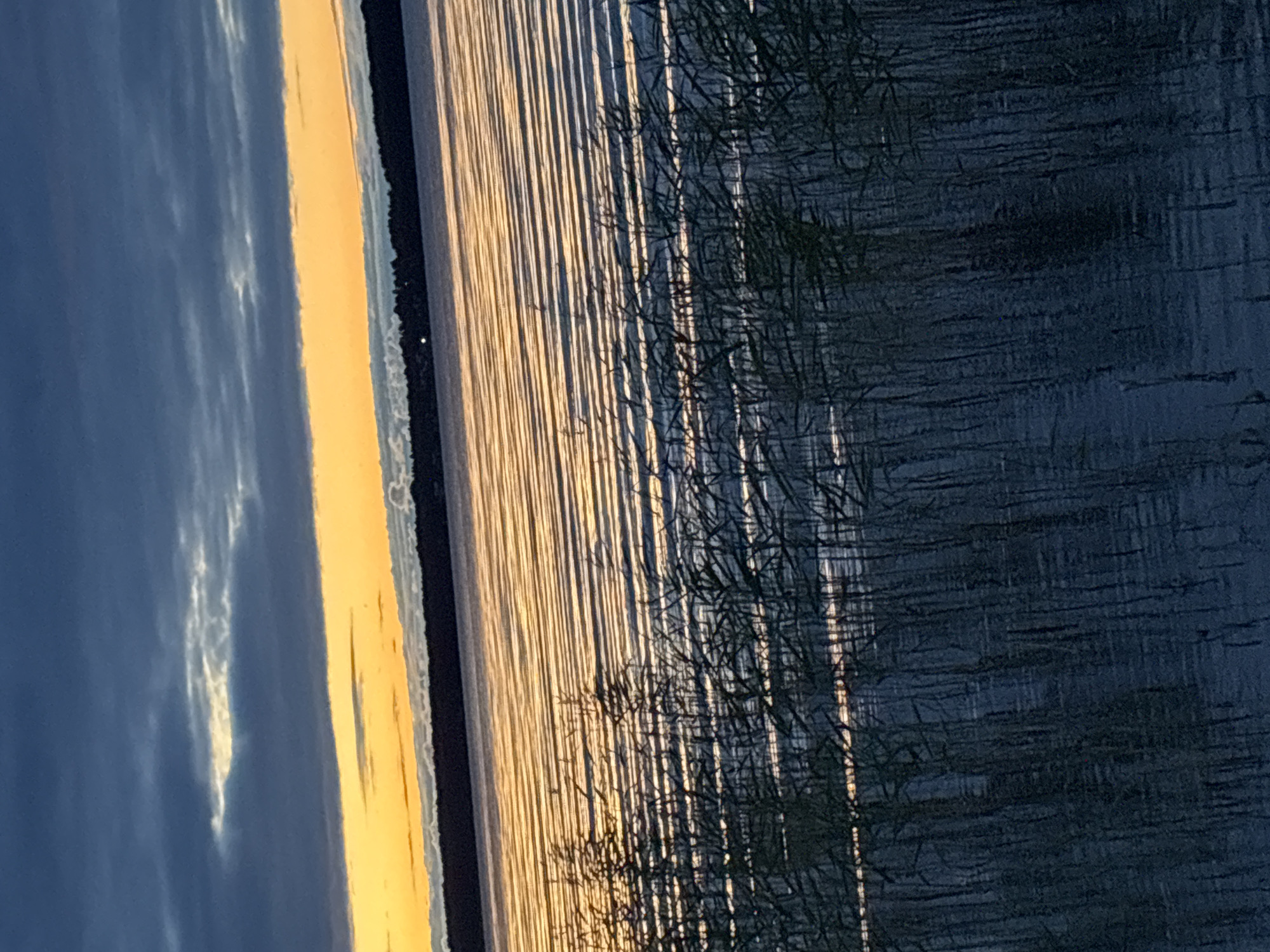 The image shows a serene natural landscape at dusk, likely in Shuiskaya Chupa, Russia, characterized by a body of water with reeds in the foreground and a tree-lined horizon under a dramatic sky. The water's surface is rippled, reflecting the golden hues of the sunset, creating a striped pattern of light and shadow. Tall, dark reeds stand in the shallow water, their silhouettes contrasting with the brighter water. In the distance, a dark, dense treeline marks the horizon. Above the treeline, the sky transitions from a vibrant band of orange and yellow from the setting sun to a deep, bruised blue filled with scattered, elongated clouds. The overall impression is one of tranquility and the end of a day.
