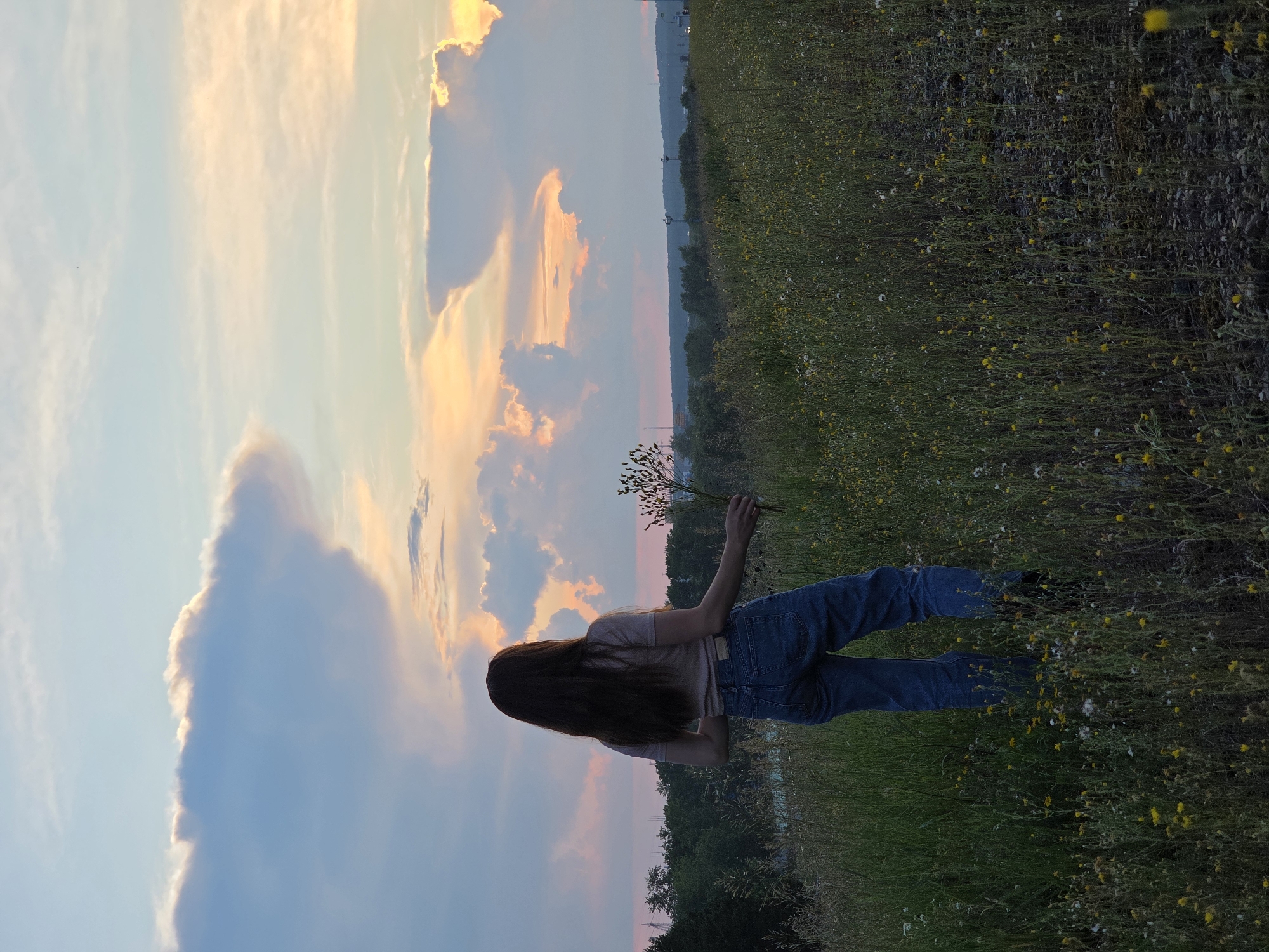 A person with long, dark hair stands in a field of tall grass and small yellow flowers, facing away from the camera. They are wearing a light-colored t-shirt and blue jeans. In their right hand, they hold a small bouquet of dried plants. Behind them, the sky is filled with dramatic, colorful clouds, illuminated by a sunset. The horizon is lined with trees and some distant industrial structures, suggesting an urban or semi-urban setting. The ground in the foreground is a mix of dirt and gravel, with more vegetation interspersed. The scene evokes a sense of solitude and contemplation.