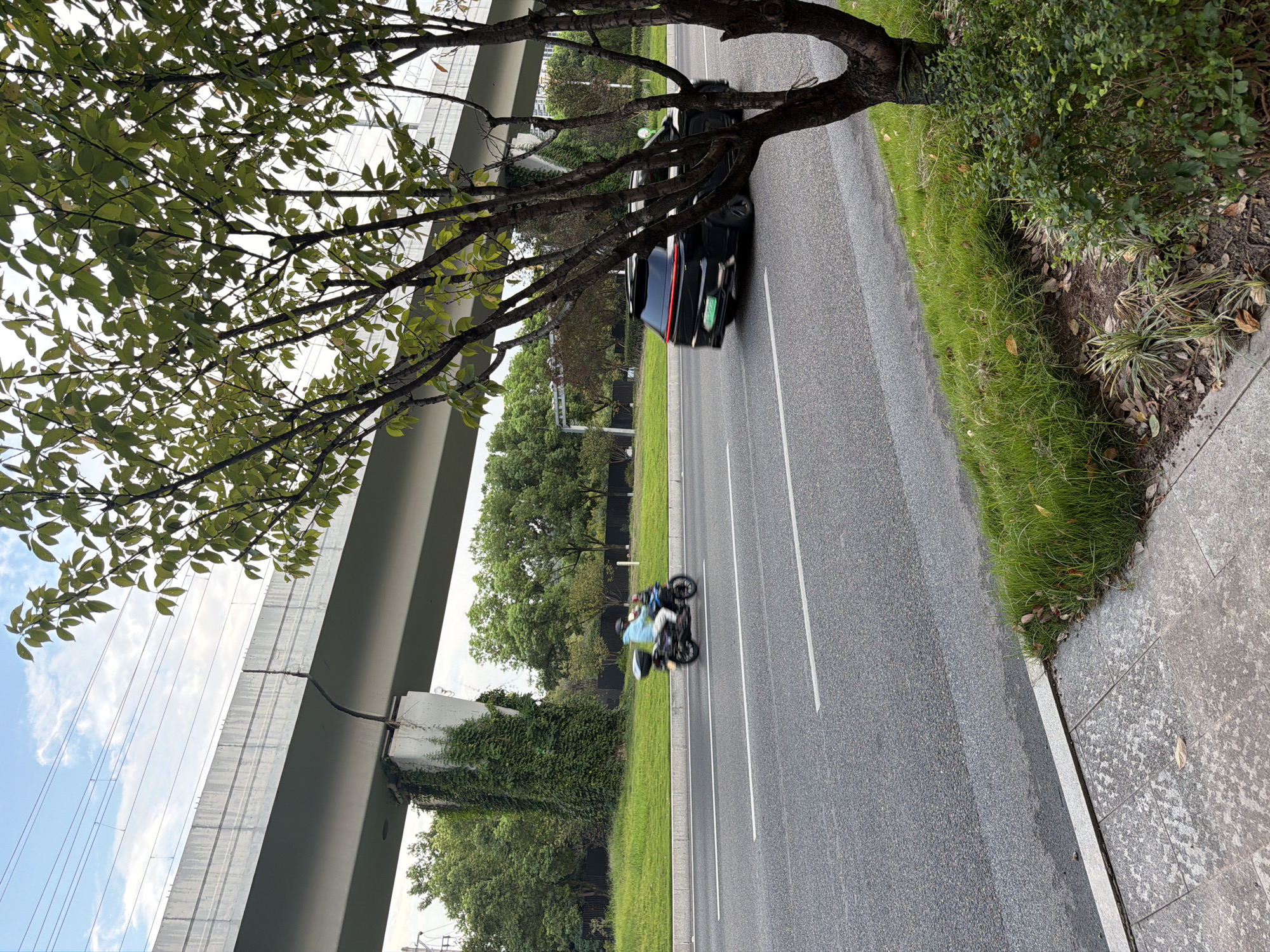 The image shows a road with traffic in Jiangjin, China. In the foreground, a tree with green leaves is partially obscuring the view. On the road, a person is riding a scooter in the left lane, and a black car is in the right lane. The road is bordered by a grassy area and a sidewalk. In the background, there is an elevated structure, likely a bridge or overpass, with some vegetation growing on its support pillars. The sky is visible with some clouds.