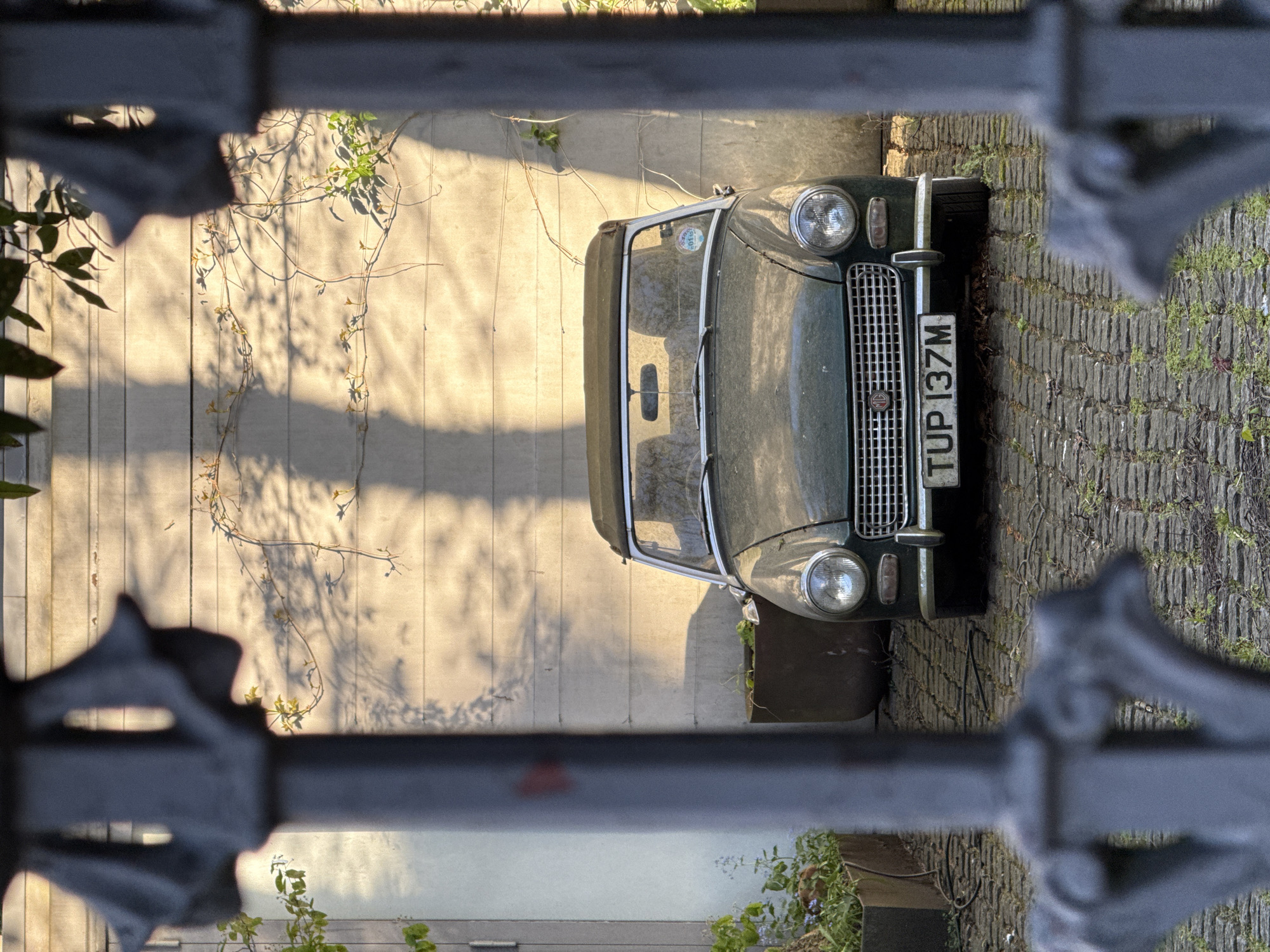 An image of a green vintage car is viewed through a dark grey, ornate wrought-iron fence. The car is parked on a stone-paved area and faces the viewer. A wall with light and shadow patterns from climbing plants is visible behind the car. The license plate reads "TUP 137M," which is a UK license plate. Given the style of the building materials and garden elements, the photo might be taken in a historic neighborhood in London.