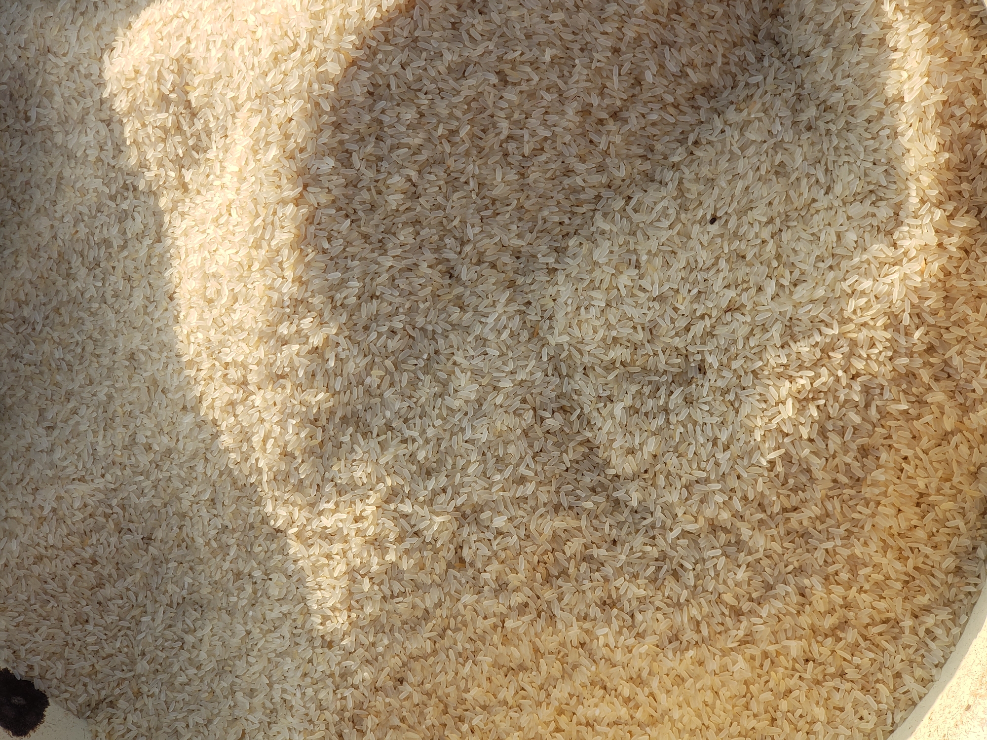 A close-up, overhead shot captures a large pile of uncooked, long-grain white rice, likely stored in a bowl or container. The rice grains are uniformly pale yellow to off-white, with many showing a translucent sheen due to the lighting. A distinct shadow falls diagonally across the right side of the image, obscuring some of the rice and creating a contrast between illuminated and shaded areas. The texture appears dry and granular. The image is taken in Kakuri Gwari, Nigeria.