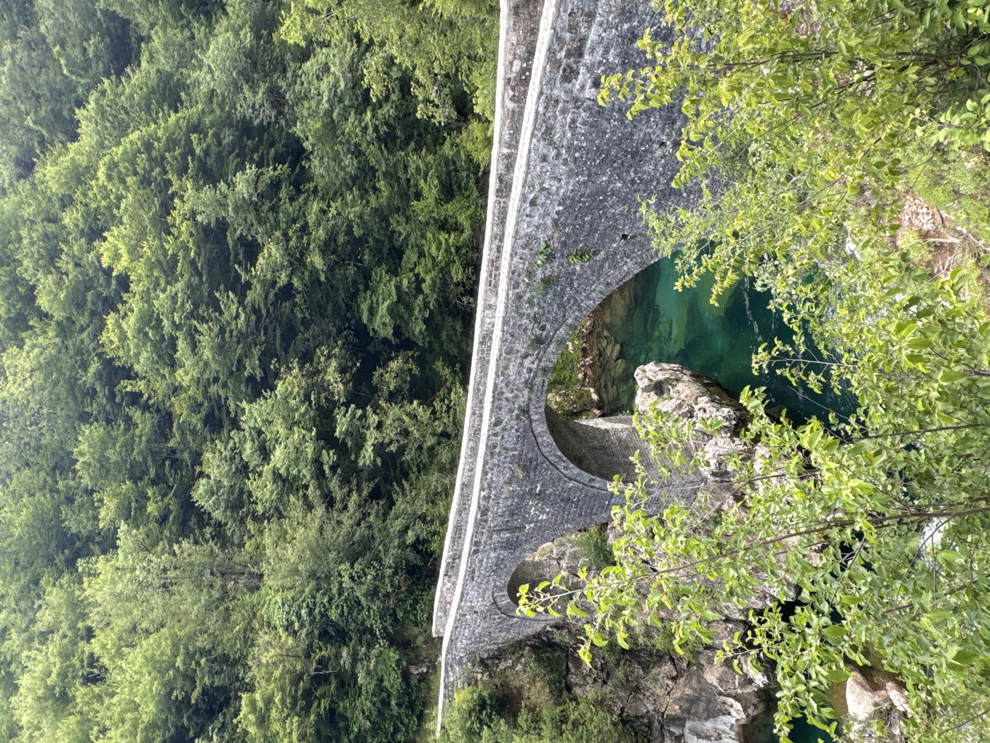 An eye-level, medium shot depicts a section of a stone bridge spanning a river at Međuriječje, Montenegro. The bridge, constructed of gray stone, forms an arch over the river below. The river water has a clear, turquoise-green hue, visible through the arch of the bridge. Dense, lush green trees cover the landscape adjacent to the bridge. Some green foliage and branches are visible in the right foreground, partially obscuring the view.