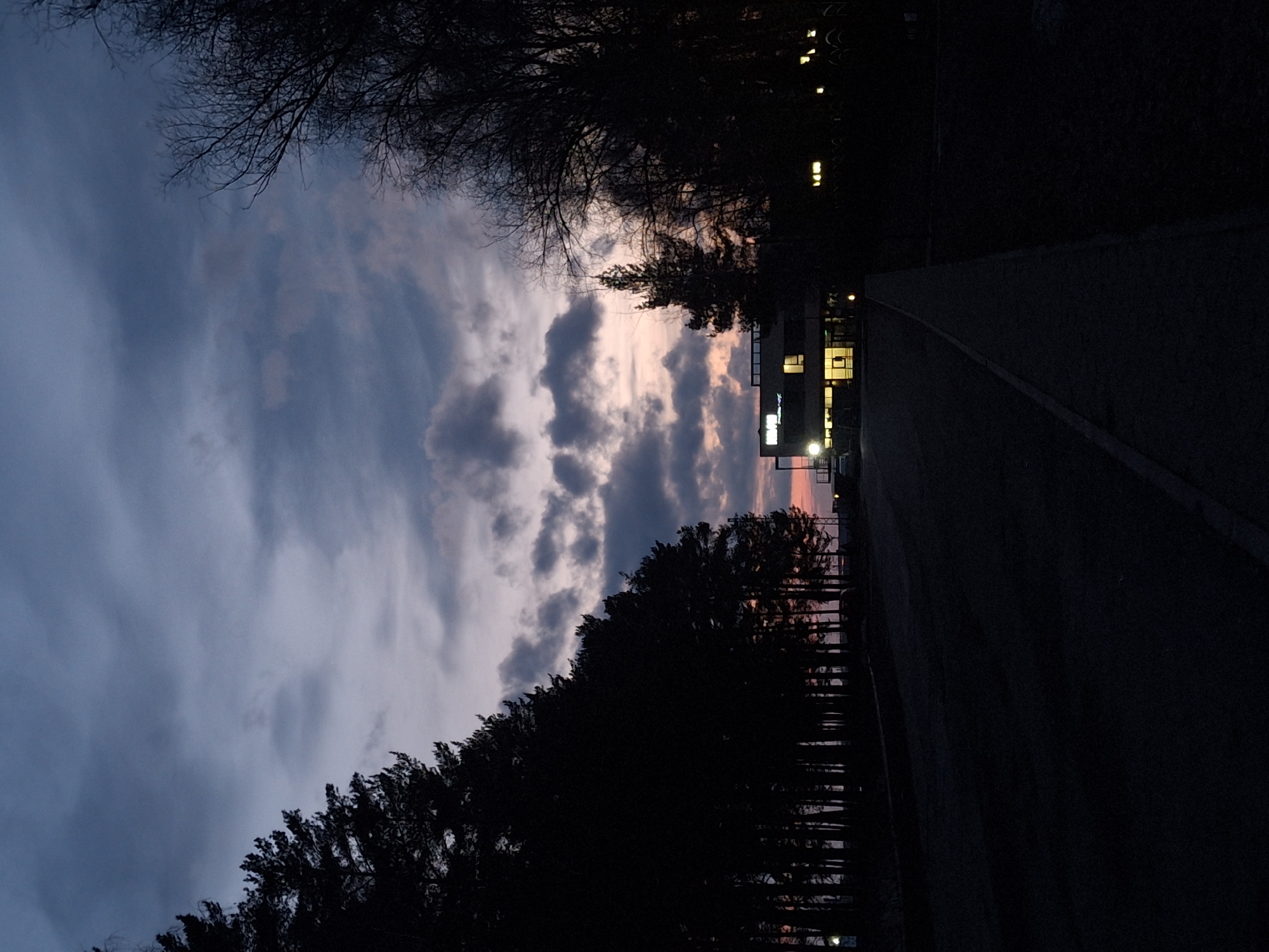 The image depicts an outdoor scene at dusk in Chaikovsky, Russia. A road curves along the right side, almost entirely black. The left side shows trees silhouetted against a cloudy sky with hints of pink from the setting sun. A building with illuminated windows and a sign is visible, positioned between the trees and the road. The upper part of the image contains dark tree branches against the cloudy sky.
