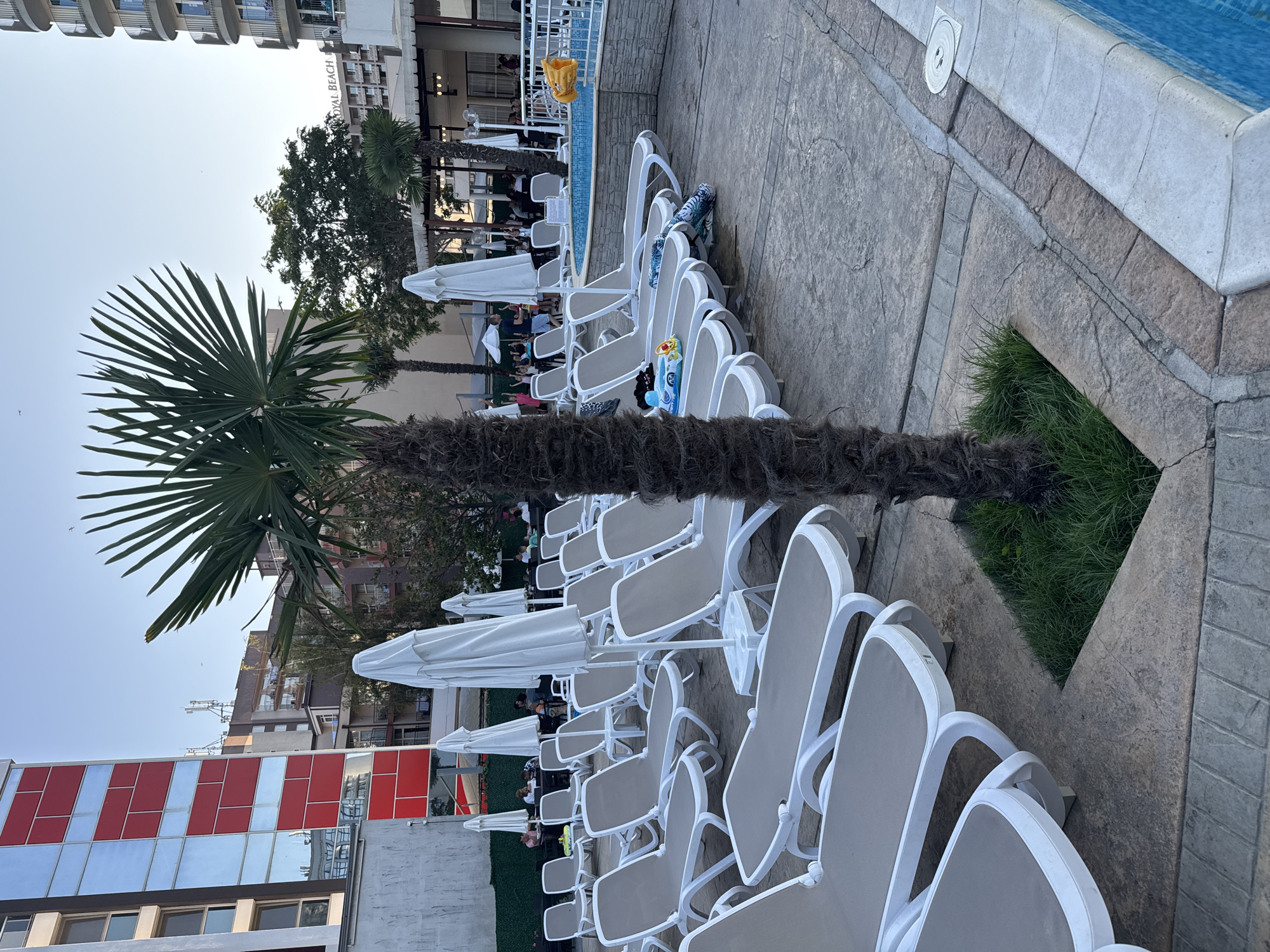 The image depicts a resort area, likely part of the "Royal Beach" complex in Nesebar, Bulgaria. In the foreground, numerous empty, beige-colored sun loungers are arranged on a textured concrete patio. A tall palm tree with a thick, textured trunk stands prominently in the mid-ground, casting a shadow over some of the loungers. To the right, a portion of a blue swimming pool is visible, bordered by light-colored coping stones. In the background, several white beach umbrellas are folded and upright. Beyond the loungers and umbrellas, there are buildings, including one with a striking red and silver facade, and other structures with balconies. Some trees and greenery are interspersed among the buildings. People are visible in the background, some seated at tables and others standing, suggesting a lively atmosphere at the resort, possibly near a dining or recreational area. A yellow inflatable ring is visible near the pool fence. The sky is clear and pale blue, indicating daytime.