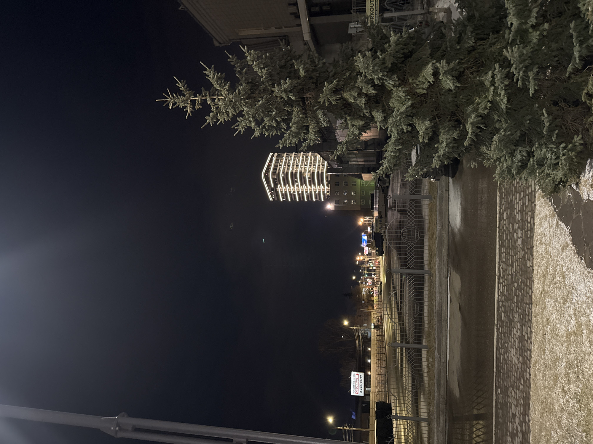 Captured at night, the image features a cityscape, likely Krasnoyarsk, Russia, due to distinctive architectural styles. Foreground objects include a coniferous tree, situated near a sidewalk. The sidewalk has a brick pattern. A gray metal railing separates the sidewalk from the street. In the distance, a building illuminated with horizontal stripes is notable, with additional urban lights suggesting a developed streetscape. Streetlights, traffic, and buildings are visible, indicating an active urban setting. The overall illumination level is low, contributing to the night-time atmosphere. There are no people visible.