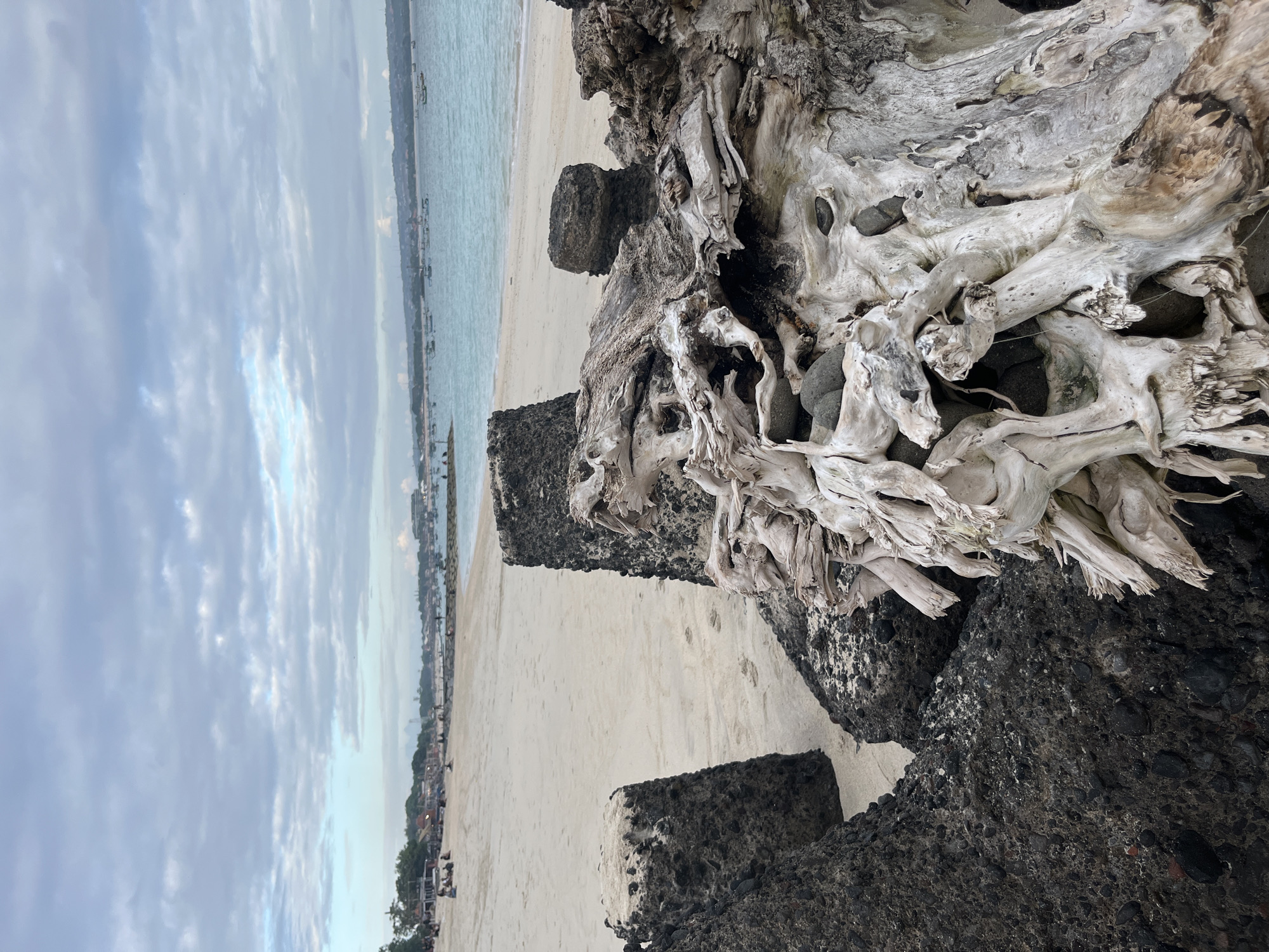 This is a photograph of a beach scene in Denpasar, Indonesia. In the foreground, a large piece of bleached driftwood rests among dark, rough-textured rocks that appear to be part of a breakwater or jetty. The driftwood is gnarled and twisted, with exposed root-like structures and a weathered texture.
Beyond the driftwood and rocks, a sandy beach stretches out, with scattered footprints visible. In the middle ground, a line of small, dark structures, likely part of the same breakwater system, punctuate the sand. Further back, the sea is visible, with a gentle wave line meeting the shore. Numerous small boats are scattered on the turquoise water, some closer to the shore and others further out. Along the coastline in the distance, there are hints of buildings and vegetation, suggesting a developed area. The sky is overcast with soft, grey clouds, lending a muted light to the scene. The overall atmosphere is serene and natural, with a focus on the textures and forms of the driftwood and rocks.