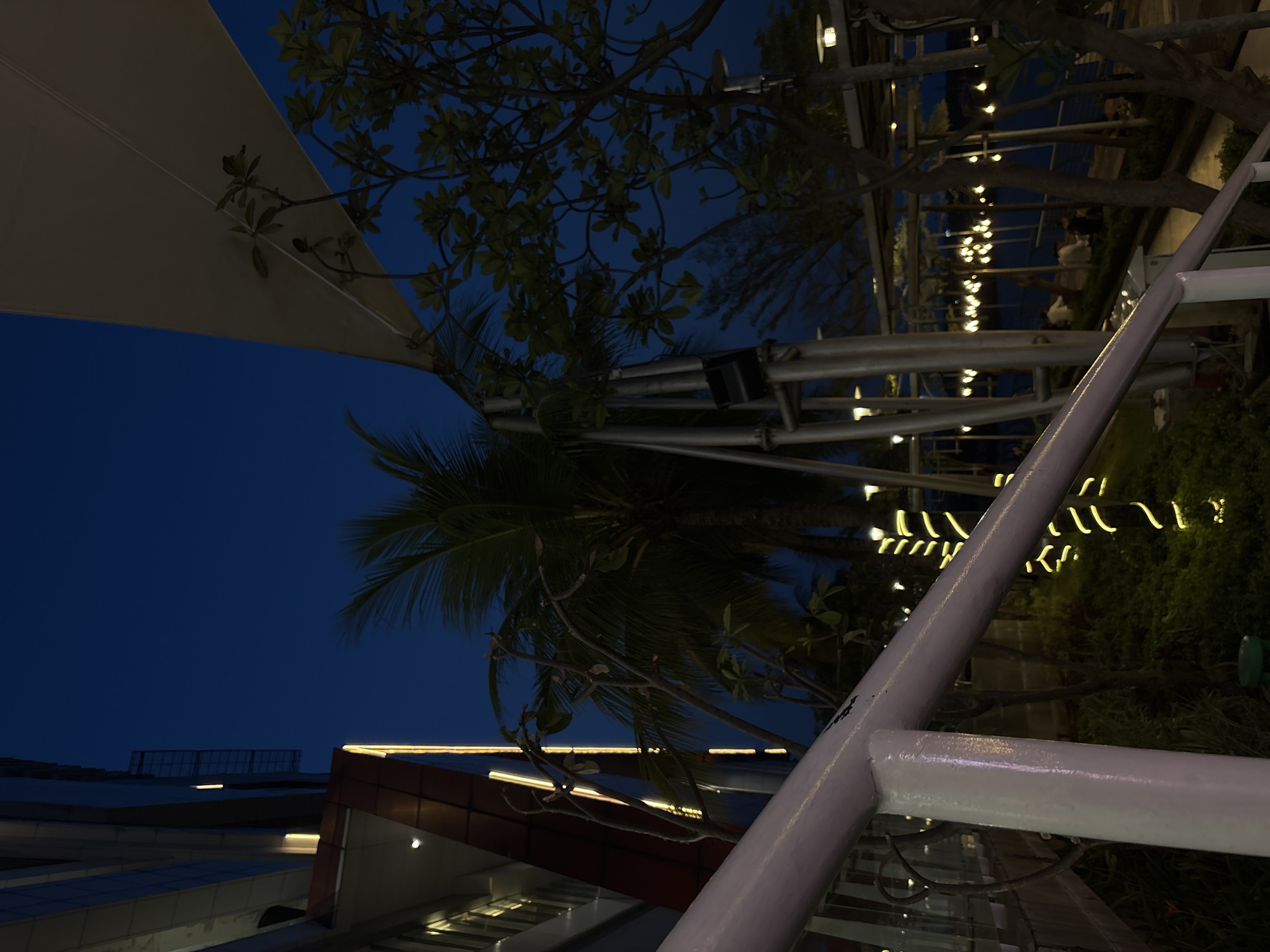 Captured from a low-angle perspective, the photograph reveals an outdoor scene in North Jakarta, Indonesia, during the evening. Dominating the view is a tall palm tree with lush, green fronds against a backdrop of the darkening blue sky. The surrounding area is illuminated by string lights that cast a warm glow on the nearby greenery. A modern architectural structure, likely a building facade, is visible at the bottom of the frame, featuring clean lines and illuminated edges. In the foreground, a white metal structure, possibly part of a fence or building framework, runs diagonally across the view. The overall ambiance suggests a quiet, urban setting at night, with the palm tree serving as a central element amidst the built environment.