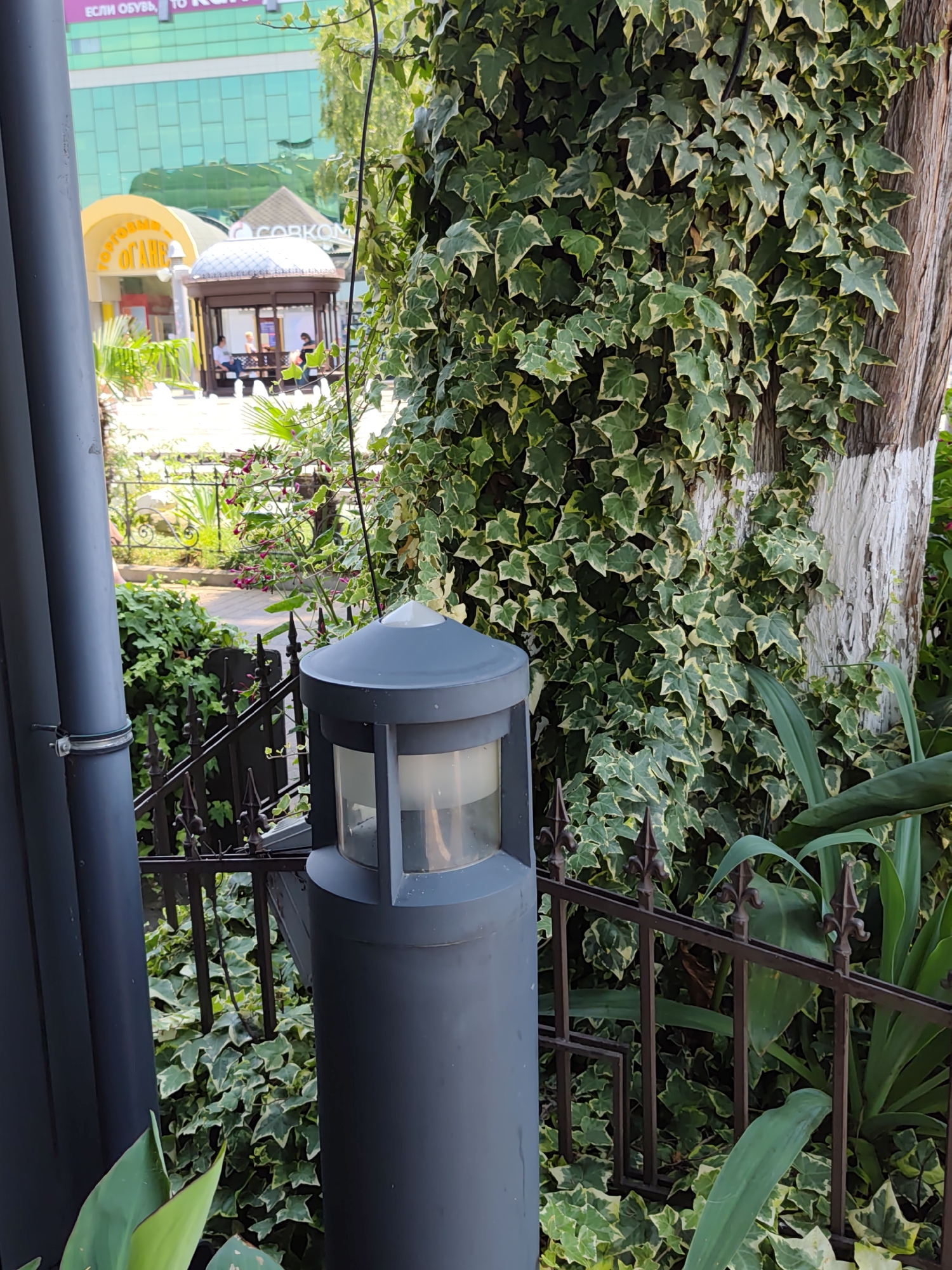This image depicts an outdoor scene likely in Sochi, Russia, with a focus on greenery and urban elements. In the foreground, a dark grey lamppost with a translucent top stands prominently. Behind it, a decorative dark metal fence encloses a garden area. The garden is lush with various plants, including ivy climbing a tree trunk and other leafy green vegetation. In the background, a large modern building with a green glass facade is visible, suggesting an urban or commercial setting. Adjacent to the building is a small, open-air pavilion with a domed roof, where several people are seated, some appearing to be engaged in conversation. The overall atmosphere suggests a pleasant day in a public space.