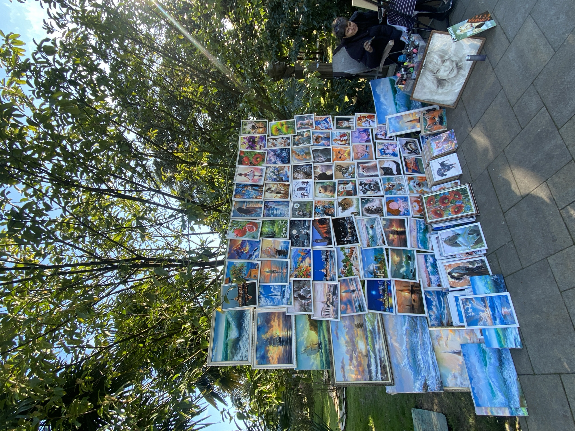 The image depicts an outdoor art exhibition in Sochi, Russia, under the shade of a large tree. The exhibition includes numerous framed paintings and prints displayed on a low table or possibly directly on the ground. The artwork features a variety of subjects, including animals (cats, dogs, foxes), landscapes, seascapes, flowers, and portraits. An elderly person wearing a dark jacket is sitting on a chair near the display, likely the artist or vendor. Several other items are visible near the table, including painting supplies, a framed portrait, and reading material. The ground is paved with rectangular stones. The scene is bathed in sunlight filtering through the trees.