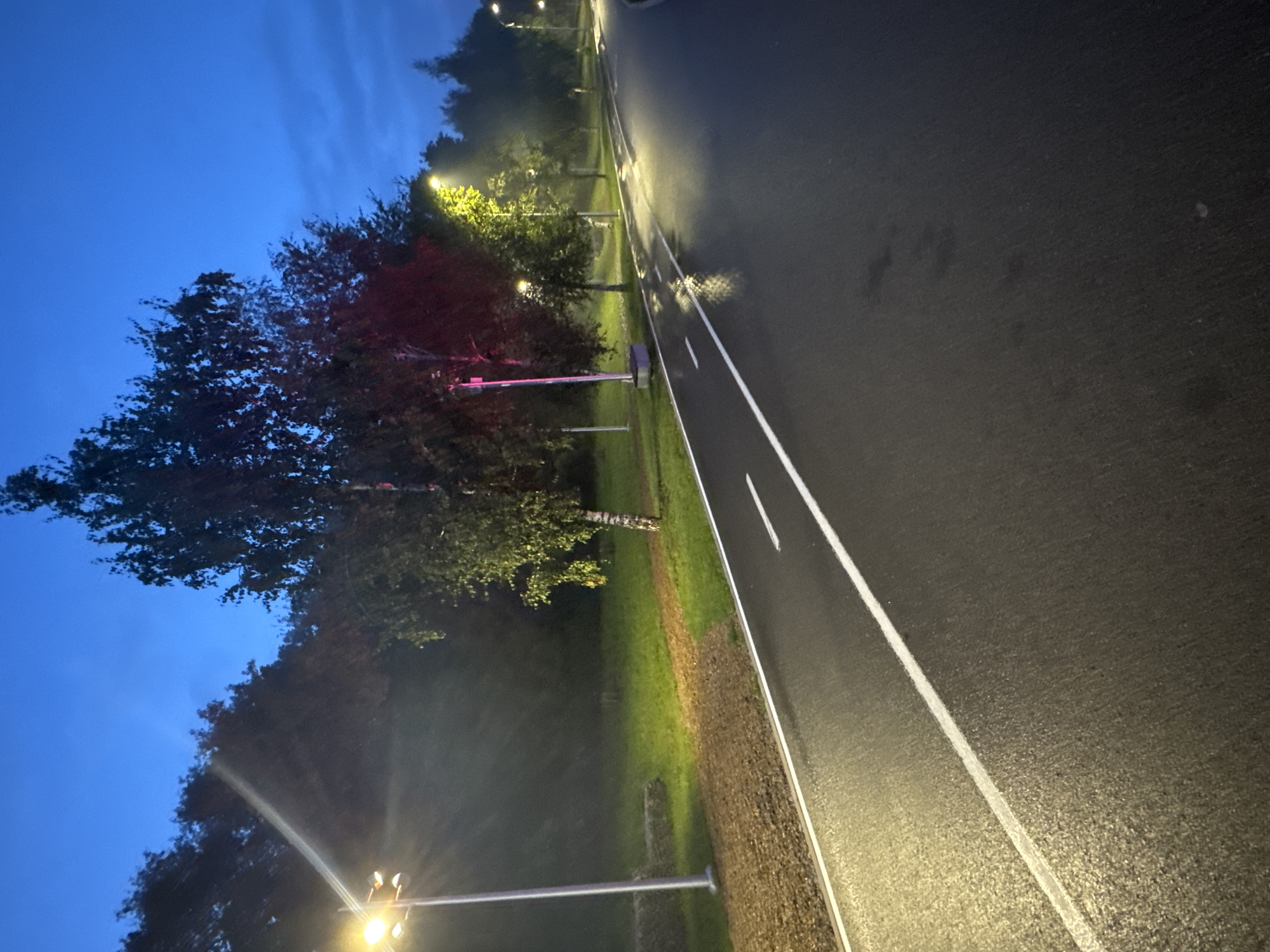 This image depicts a park pathway or cycle lane at dusk in Ufa, Russia. The pathway is wet, indicating recent rain, and is illuminated by streetlights. Trees line the pathway, with some trees displaying red and yellow illumination from additional lighting. The sky is a deep blue, transitioning from day to night. There are no people or animals visible in the frame. The scene is peaceful and quiet, suggesting a serene park environment.