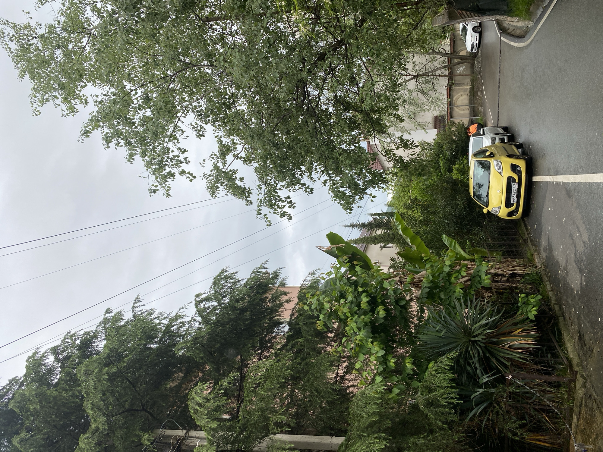 The image shows a street scene in Sochi, Russia on an overcast day. The road is wet, reflecting the gray sky. A bright yellow Peugeot with the license plate number H634VX 177 is parked on the right side of the street, near the edge of the road. An additional white car is parked directly behind the Peugeot, but it’s unclear of its make or model. Another white car is parked further up the hill. The street is flanked by lush greenery, including a large tree with broad leaves and other dense foliage, some resembling tropical plants. Power lines stretch across the sky. A building can be seen through the vegetation. An orange object appears to be leaning on the white car parked next to the Peugeot.
