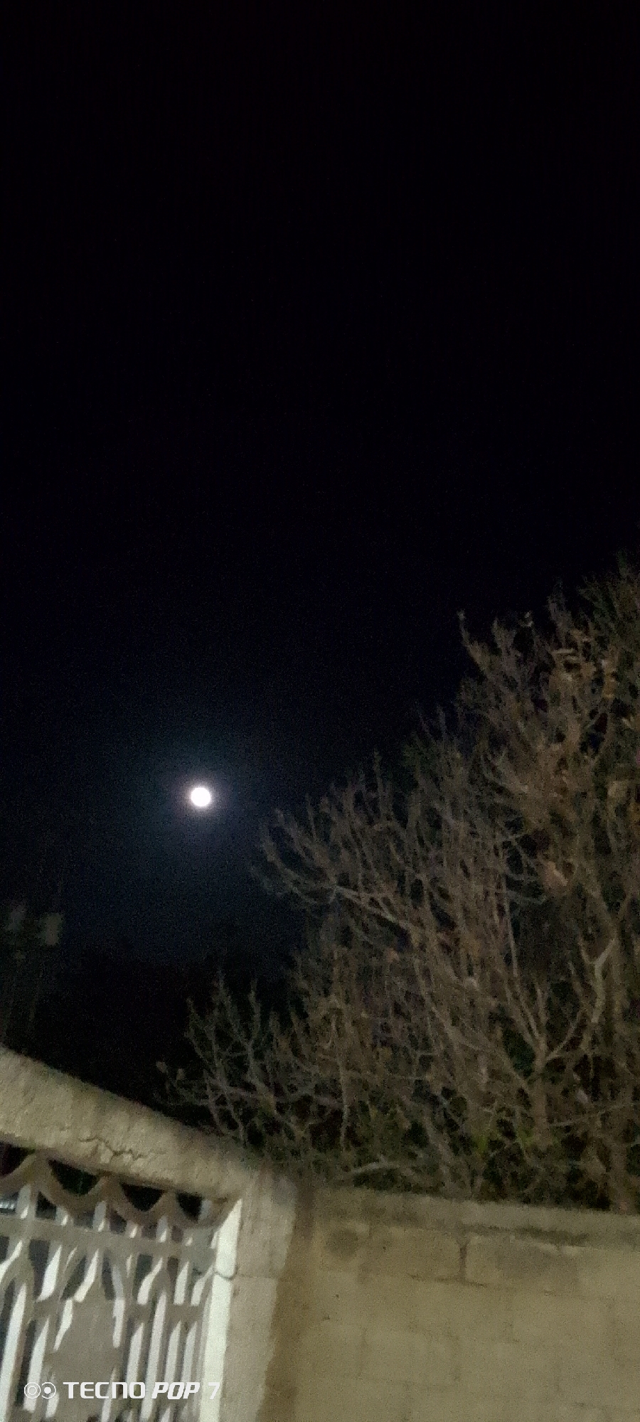 A night scene shows a bright moon in a dark sky, positioned to the left of a bare tree with intricate branches. Below the tree, a partial view of a building structure with a white decorative fence and a stone wall is visible. The photograph was taken using a TECNO POP 7 camera. The city name of Altagracia, Venezuela is not depicted in the photograph.