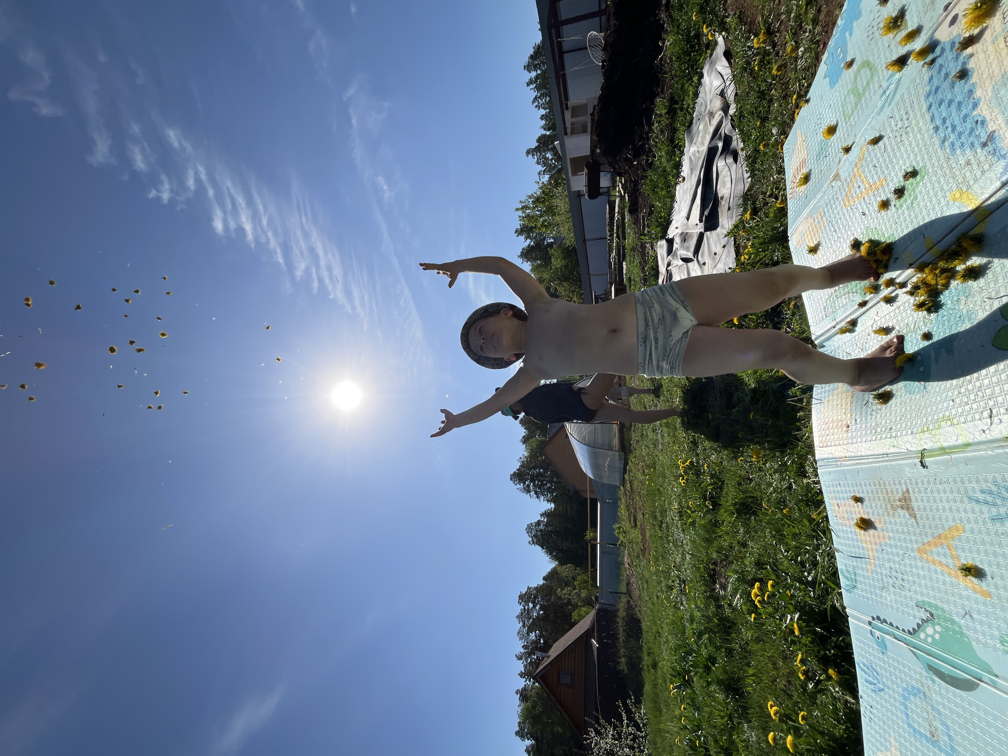 A sunny outdoor scene shows a person wearing a hat and light-colored shorts standing on a blue playmat covered in yellow dandelions. The person has arms outstretched, and yellow dandelion heads are in the air, suggesting they were thrown. The location appears to be a backyard with grass, dandelions, and buildings. The location is likely in Chaikovsky, Russia. Another person is visible partially in the background.