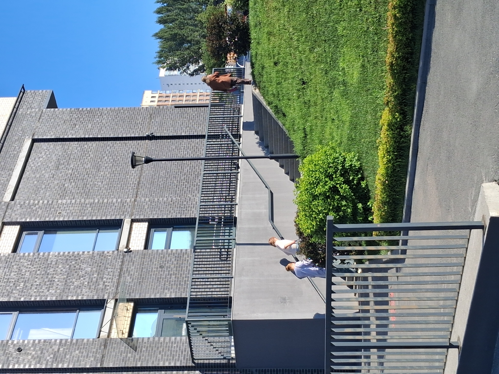This image depicts an outdoor scene in front of a modern brick building, likely located in Novosibirsk, Russia. In the foreground, a metal fence runs horizontally across the bottom of the frame, partially obscuring a gray paved area. To the right of the fence, a vibrant green lawn slopes upwards, with a row of manicured bushes forming a border along the paved area.
The building itself features dark gray brickwork with tall, rectangular windows. A railing separates a lower elevated walkway from a concrete structure. A black lamppost is visible on the left side of the building.
Three individuals are present on a set of outdoor stairs leading up the grassy incline. Two individuals are positioned further down the stairs, and a third individual, wearing a brown jacket and pants, is walking up the stairs away from the camera. The stairs are concrete, and the surrounding area is covered in lush green grass. In the background, several modern high-rise buildings and trees are visible under a clear blue sky. The sunlight suggests it is daytime.