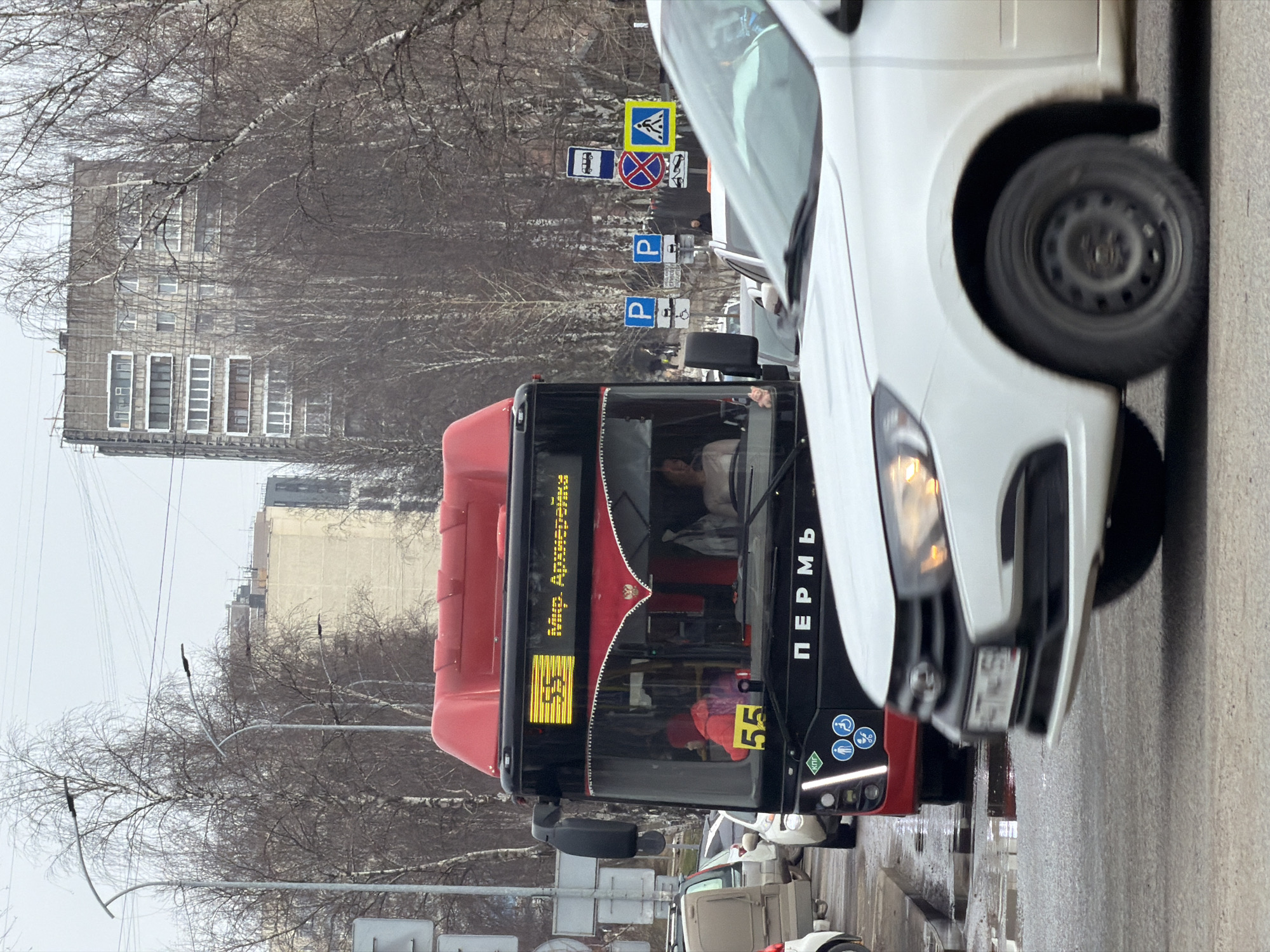 An outdoor urban street scene in Perm, Russia, features a black and red city bus in the midground and a white sedan in the foreground, indicating vehicular traffic on a wet asphalt road under an overcast sky.
The bus, displaying route number "55" and the destination "Мир. Архиерейка" in yellow LED text, has "ПЕРМЬ" printed in white capital letters below its windshield. A female driver is visible behind the wheel, and a passenger in a red jacket is seated further inside. The bus front also features accessibility symbols. Behind the bus, other vehicles, including a light-colored van, are present.
In the immediate foreground, the front right quarter of a white sedan, with its headlight illuminated, is captured with motion blur, suggesting movement from right to left across the frame. Its license plate, partially visible, reads "A177HK 59". The road surface shows multiple puddles.
The background consists of bare deciduous trees and several multi-story concrete residential buildings, likely apartment blocks, characteristic of urban Russian architecture. A cluster of road signs is visible to the right of the bus, including signs for parking, a bus stop, a no-stopping zone, and a pedestrian crossing. Overhead wires and streetlights are also present. The overall environment suggests a late winter or early spring setting due to the barren trees.