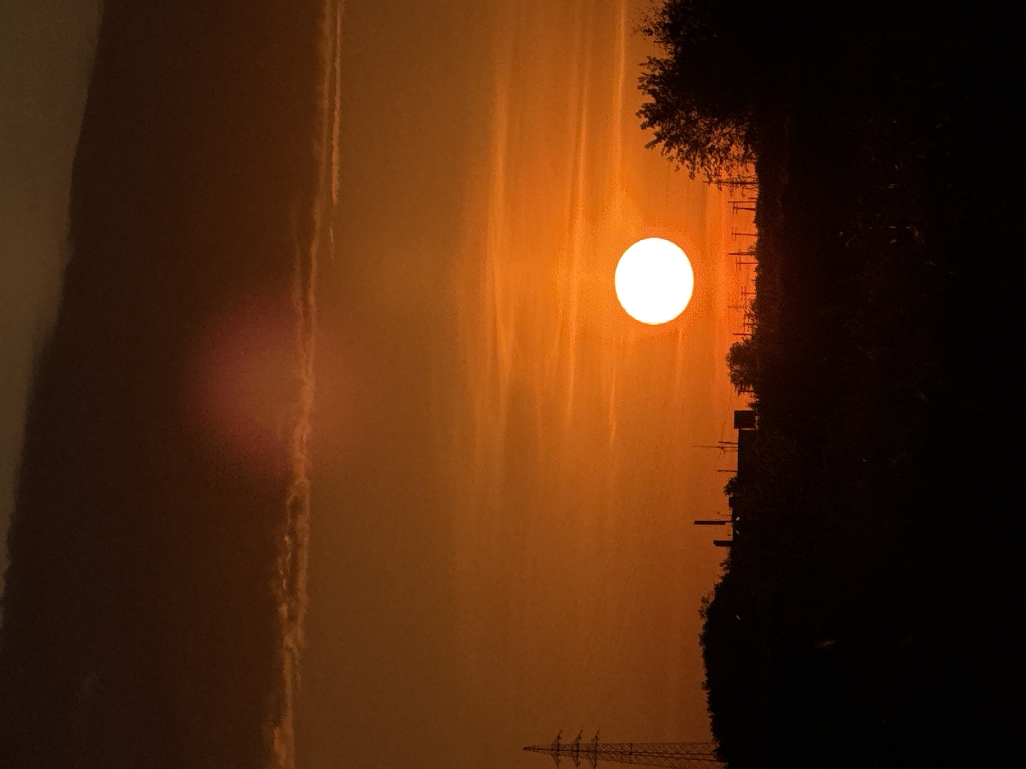 A landscape image shows a bright, circular sun positioned in an orange sky with streaky clouds. A dark mass of trees and vegetation dominates the right side, with electrical pylons visible against the sky. An unknown city is implied due to the presence of pylons.