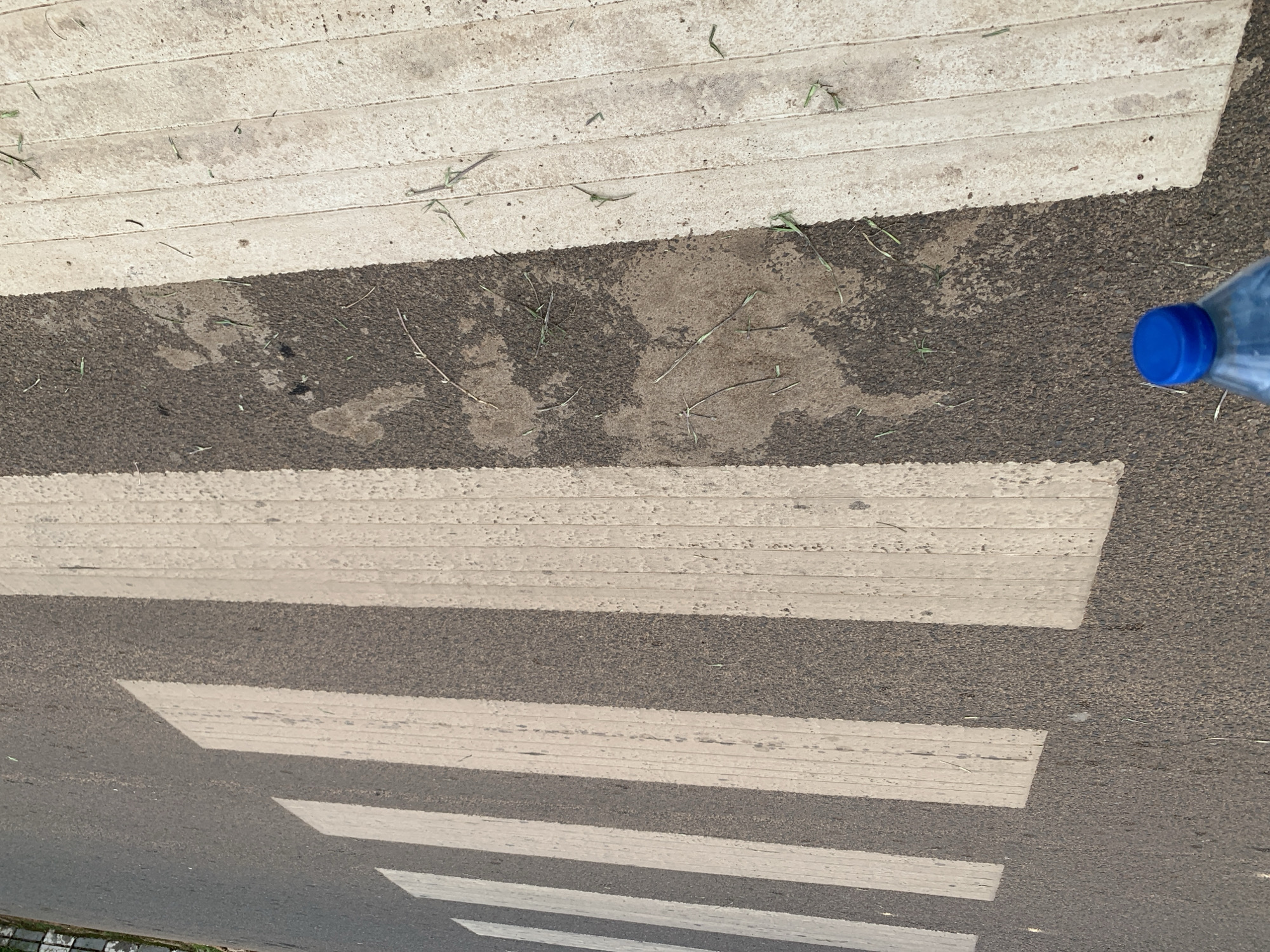 A close-up, eye-level shot captures a pedestrian crossing with distinct white stripes painted across a dark asphalt road. The white stripes are worn, showing visible texture and some dirt or debris embedded in them, suggesting regular use and weathering. Small green grass stalks and dried leaves are scattered across the dark asphalt sections between the stripes, indicating an outdoor environment. In the lower left corner, a portion of a blue plastic bottle with a bright blue cap is visible, held by an unseen hand or placed on the ground, suggesting recent human presence. The overall scene depicts an urban or semi-urban street setting, potentially in Jos, Nigeria, given the context, highlighting the condition of a public walkway.