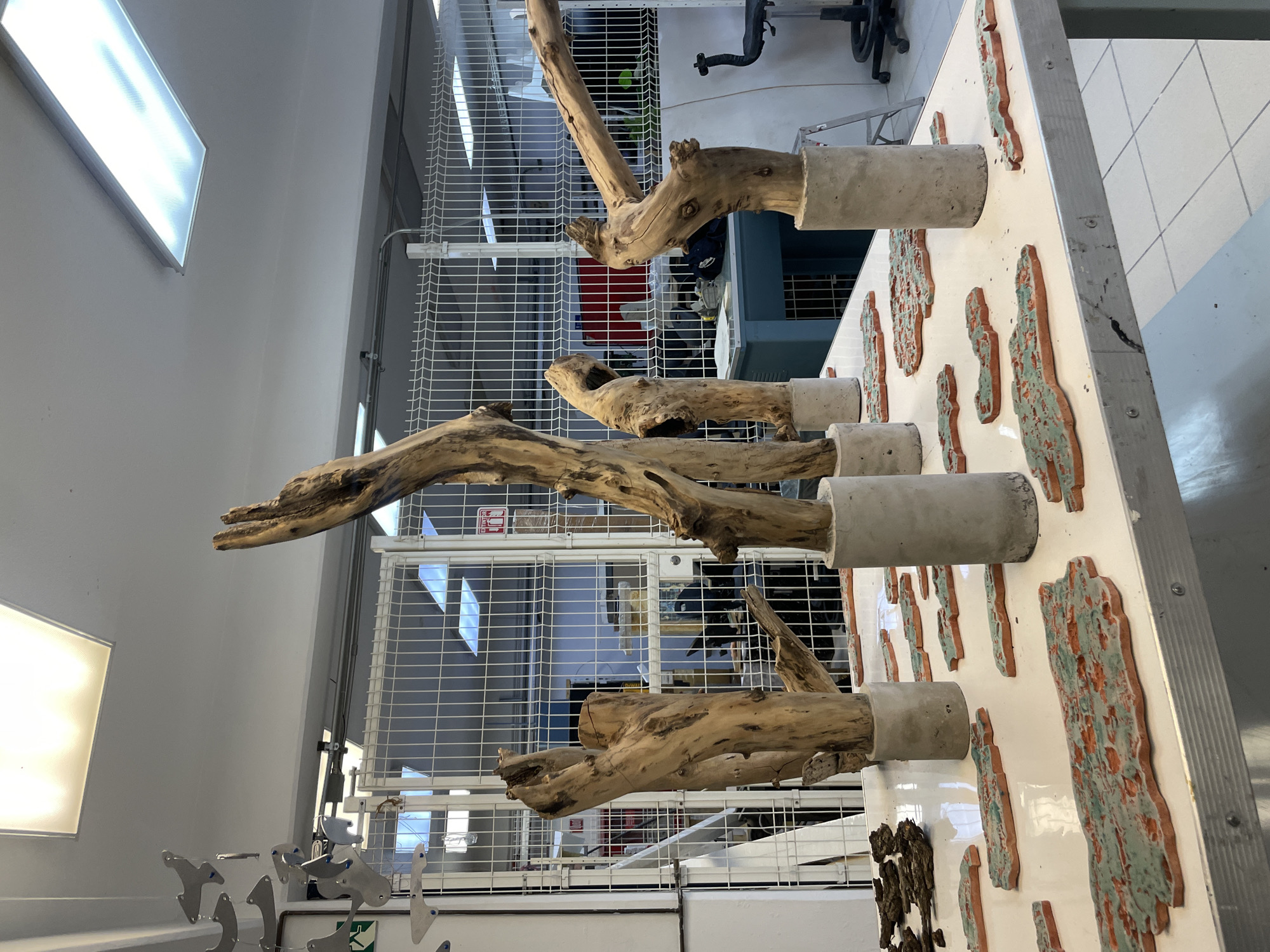 The image shows an art installation or workshop setting, likely indoors due to the presence of artificial lighting. The scene is dominated by three pieces of driftwood, each mounted into a concrete cylinder. These cylinders are attached to a white panel. A series of long, narrow ceramic pieces with mottled red and blue-green glazes are adhered to the panel.
Behind the white panel, a white wire mesh rack is visible, filled with items, including what looks like office equipment, a red object, and other miscellaneous articles. Additional artwork or studio equipment is visible on the lower left of the image.
The precise location within San Andrés Cholula, Mexico, cannot be determined from the image alone.