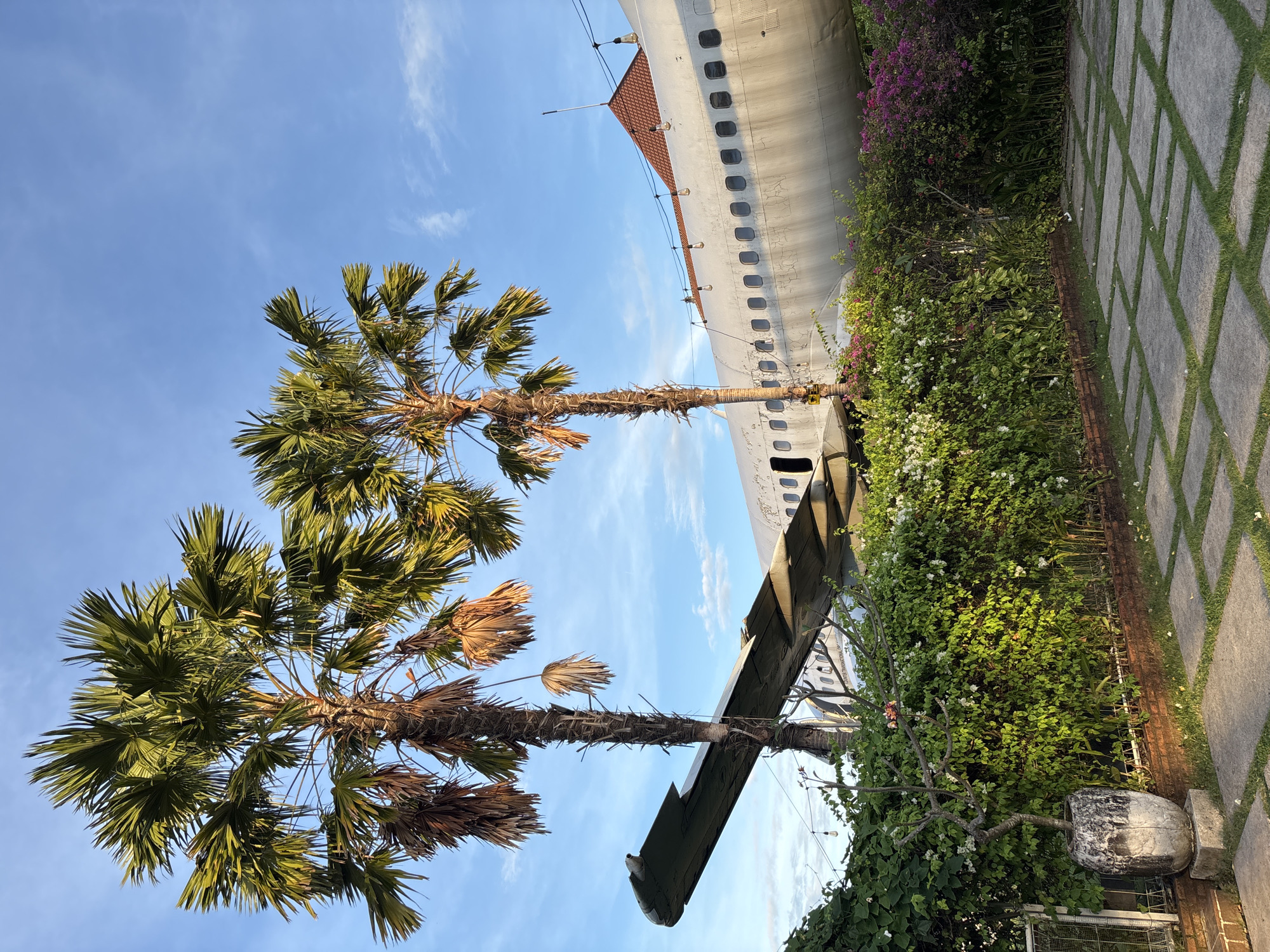Two palm trees stand in front of a partially visible decommissioned Boeing 737 aircraft. The aircraft is positioned at the edge of a stone-paved area with grass growing in the joints. Dense greenery, including flowering plants, surrounds the aircraft's exterior. The sky is blue with scattered light clouds. The scene is at the "Aircraft restaurant" in Kuta, Indonesia.