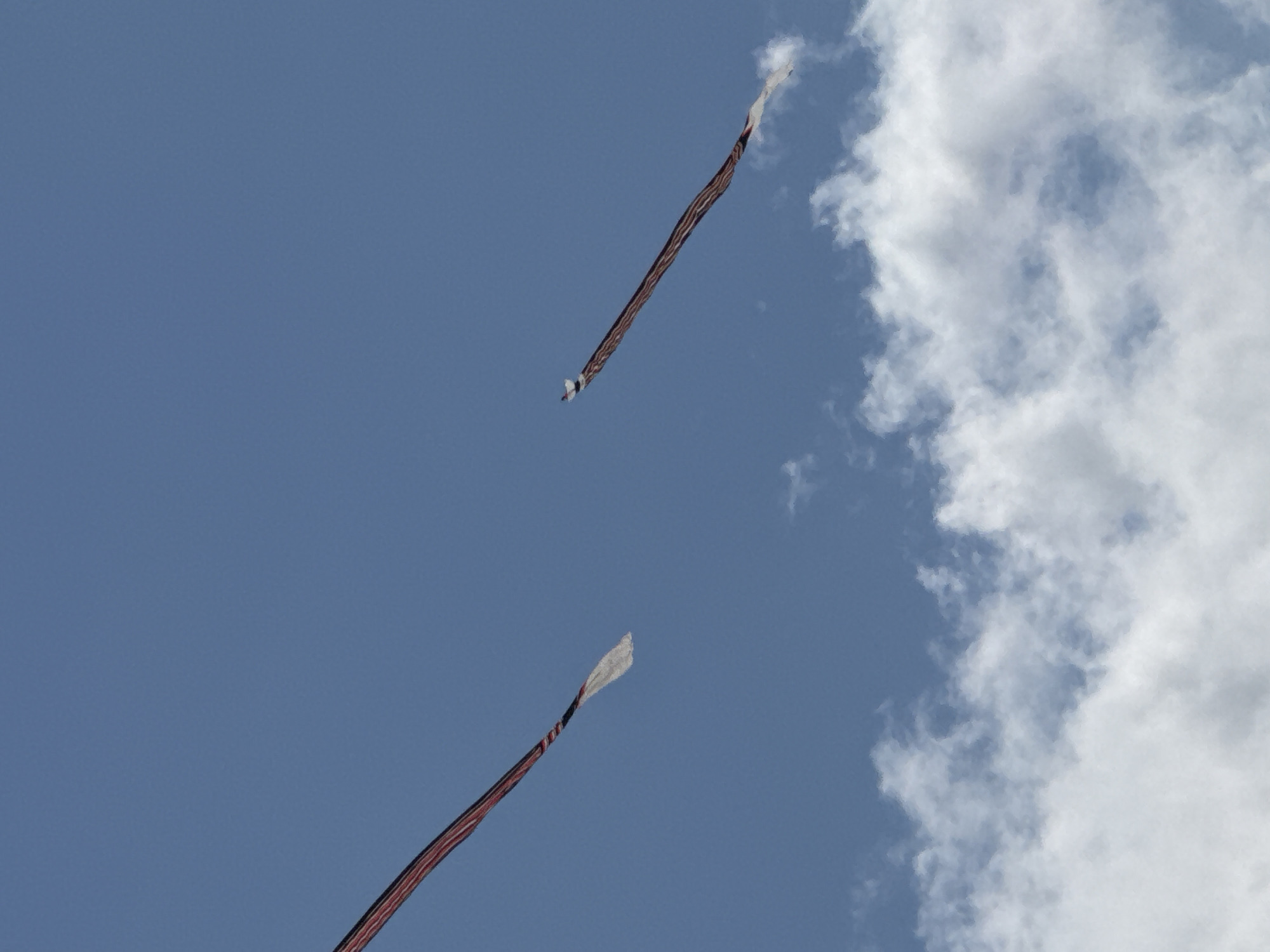 Two kites are flying in a clear blue sky. One kite is on the left side of the image, and the other is on the right. The kite on the left has a long, striped tail that appears to be red, white, and black. The kite on the right also has a long, striped tail, which appears to be red and white. There are some white clouds at the bottom of the image. The scene is likely in Denpasar, Indonesia, a city known for its vibrant culture and kite festivals.