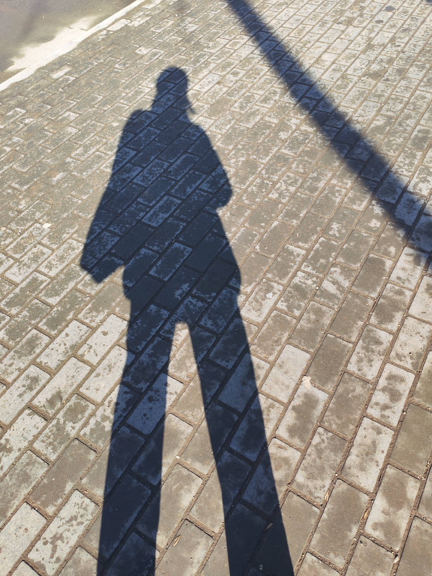The scene depicts an outdoor paved area, likely a sidewalk or pedestrian path, within the city of Chaikovsky, Russia. The pavement consists of interlocking rectangular concrete pavers, appearing somewhat worn and damp in areas, with dirt visible in the gaps. Strong sunlight casts two prominent shadows onto the surface. The primary shadow, located on the left and center, is a full-body silhouette of a person standing or walking, facing right. The shadow's outline suggests a human form with discernible head, torso, and legs. A second, long, linear shadow extends diagonally from the upper right quadrant towards the lower left, indicating a vertical object such as a pole or lamppost off-frame. A light-colored curb or edge of an adjacent road is visible along the top-left margin of the image.
