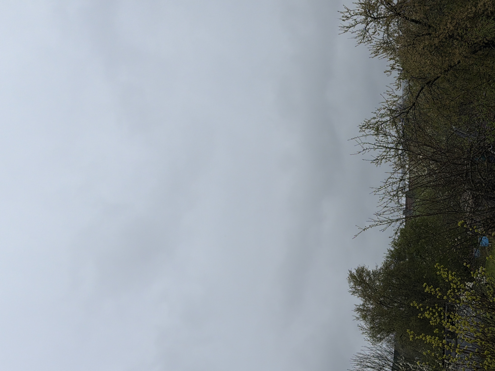 The image shows a cloudy sky above a street in Rosen, Bulgaria, as suggested by the surroundings. In the foreground and on the right side of the frame, trees and branches are visible.
