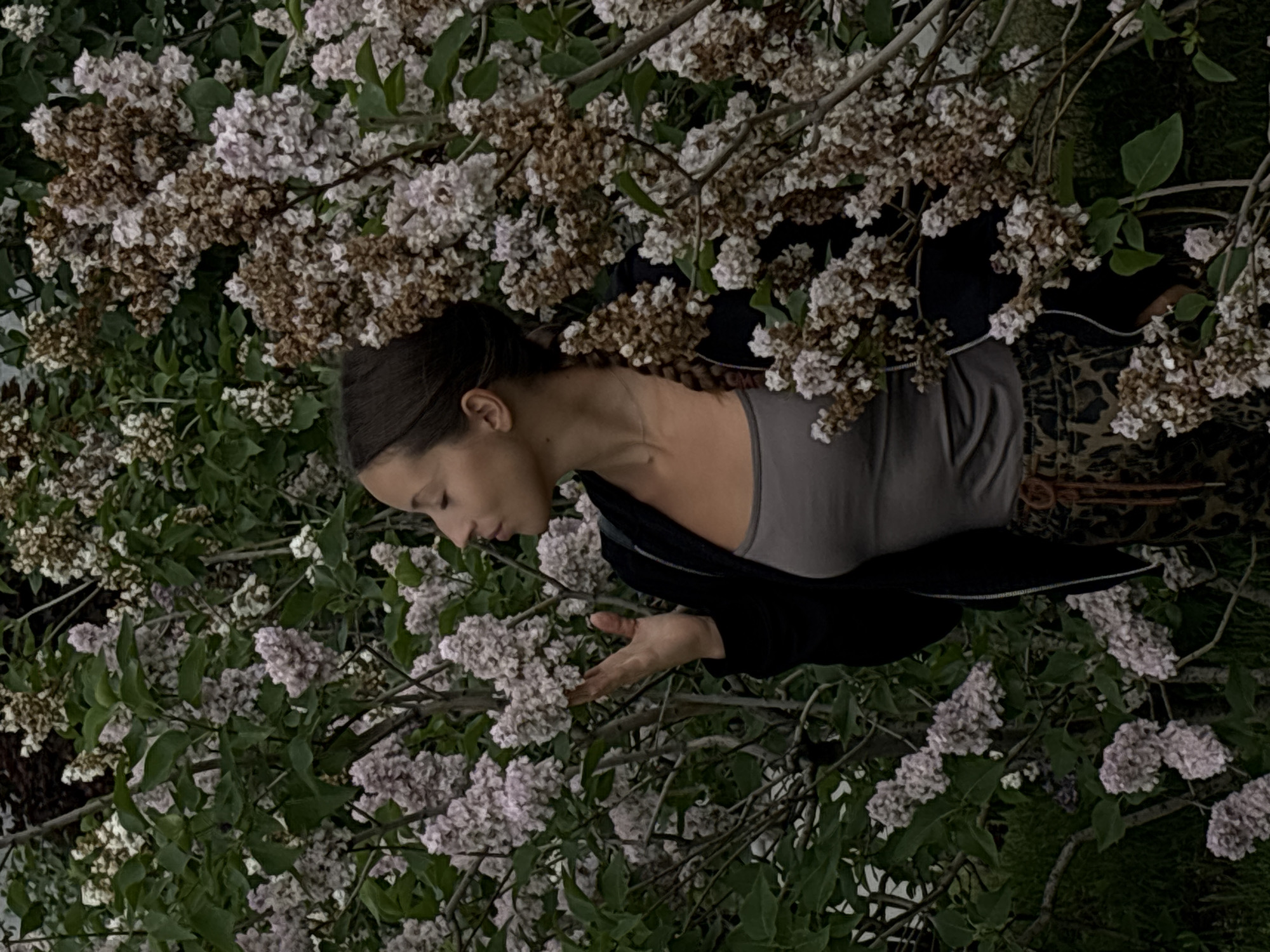 The image features a woman standing amidst lilac bushes. The flowers are predominantly white and light purple, with some appearing dried. The woman has her hair pulled back, and she is wearing a gray top and a black jacket. Her hand is extended towards the lilacs. The setting is not identifiable as Moscow, Russia.