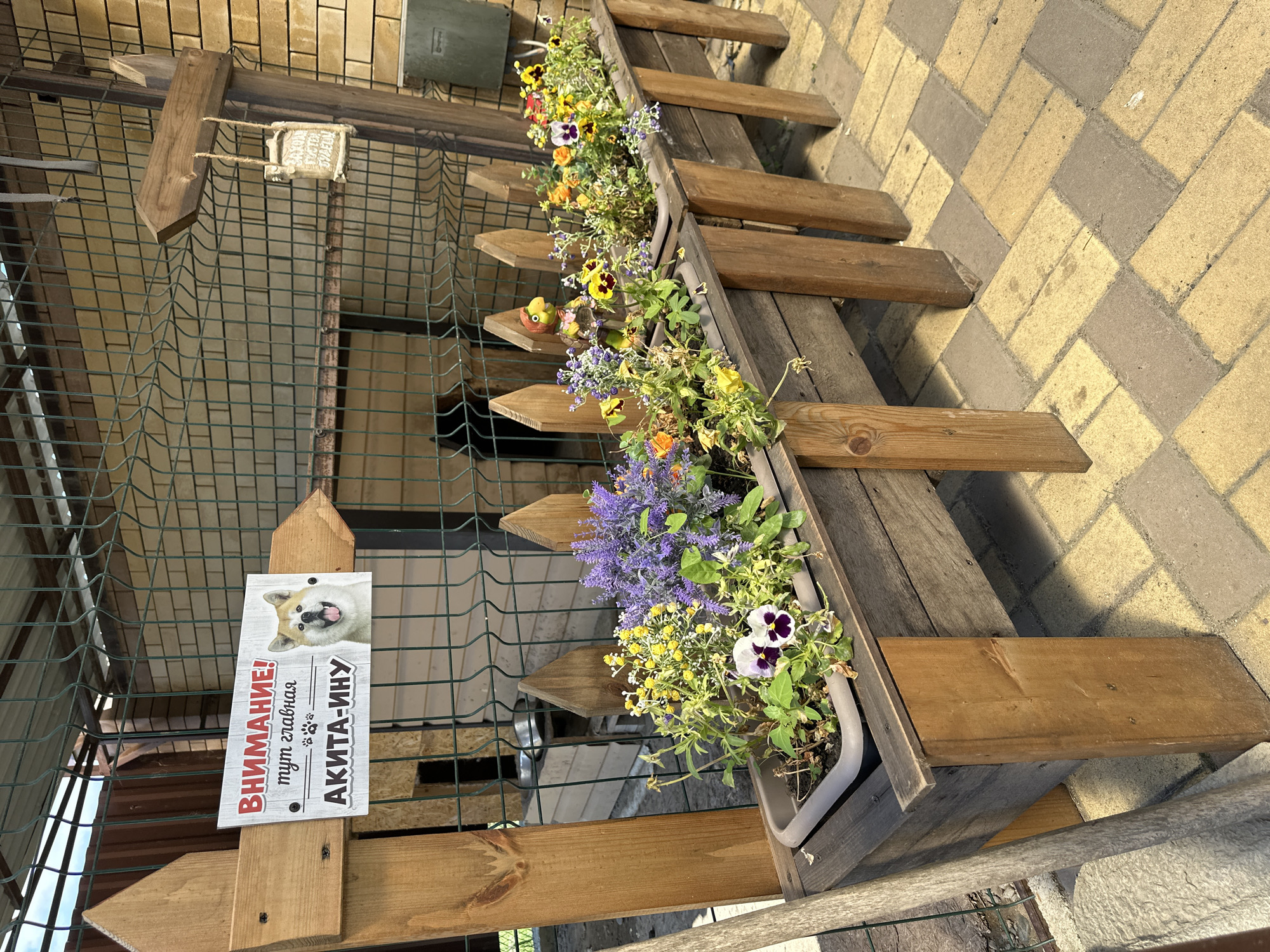 An outdoor scene shows a wooden fence with a planter box filled with flowers. The fence is made of rough-hewn planks and has a weathered appearance. The planter box, also made of wood, is mounted on the fence and contains a variety of colorful flowers, including purple lavender, yellow pansies, and small yellow blossoms. A small, decorative bird figurine is also visible in the planter.
Attached to the fence is a sign with a picture of a dog. The sign has text in Russian that reads "ВНИМАНИЕ! тут главная Акита-ину" which translates to "ATTENTION! The boss is Akita-inu". This suggests that an Akita dog is the owner or dominant figure of the area. The sign adds a touch of personality to the scene.
The background shows a tiled patio area and a metal fence, possibly part of a yard or garden. The lighting suggests it is daytime, likely with bright sunlight casting shadows. The scene appears to be a residential outdoor space, possibly a backyard or entryway. The overall impression is rustic and charming, with a playful warning about the resident dog.