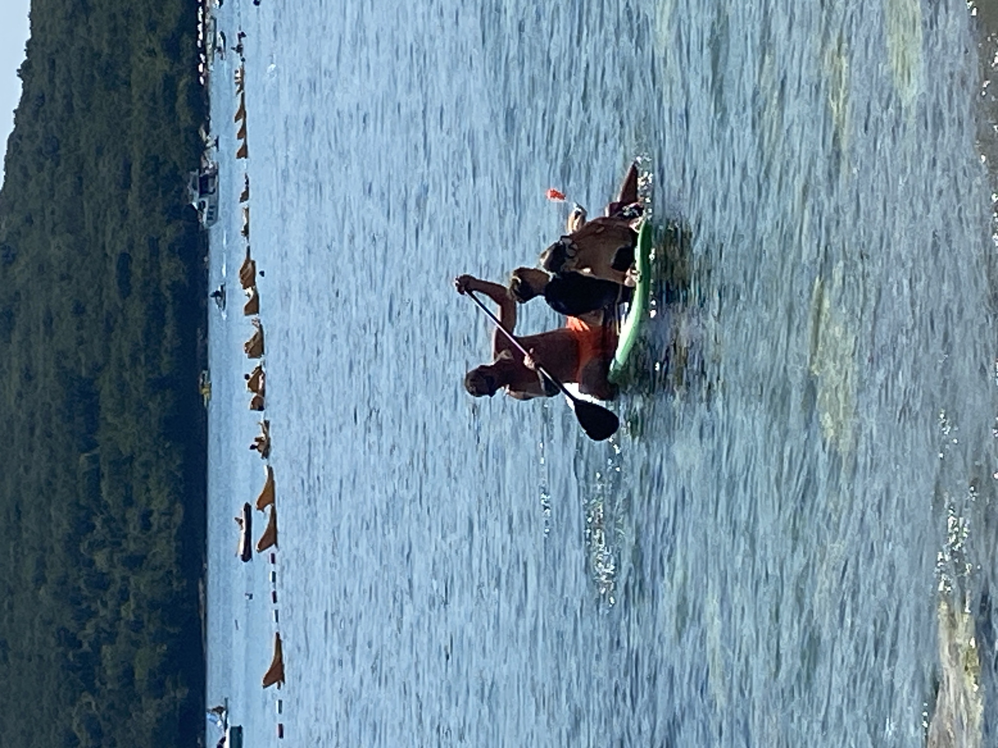 An overhead shot shows a paddleboard with three people on it on a body of water. The paddleboard is light green. The person in the back is using a paddle to steer. The person in the middle appears to be a child wearing a black shirt. The person in the front appears to be a child wearing goggles on their head. In the background, there is a wooded hillside. In the foreground, there is a buoy line with several orange buoys. The water is blue and calm. The scene is likely Prijevor, Montenegro.