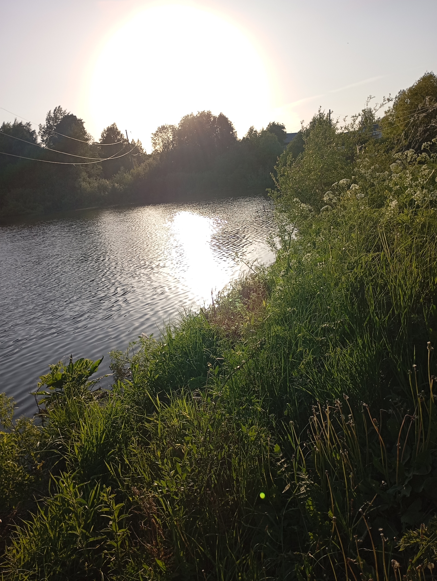 The image shows a body of water, possibly a lake or river, reflecting sunlight. The sun is high in the sky, creating a bright glare. The shoreline is covered in dense green vegetation, including tall grass, wildflowers, and bushes. There are trees in the background, suggesting a rural or suburban setting. Power lines are visible near the trees. The overall environment appears calm and natural. The specific location in the city of Unknown, Unknown is not discernible from the image.