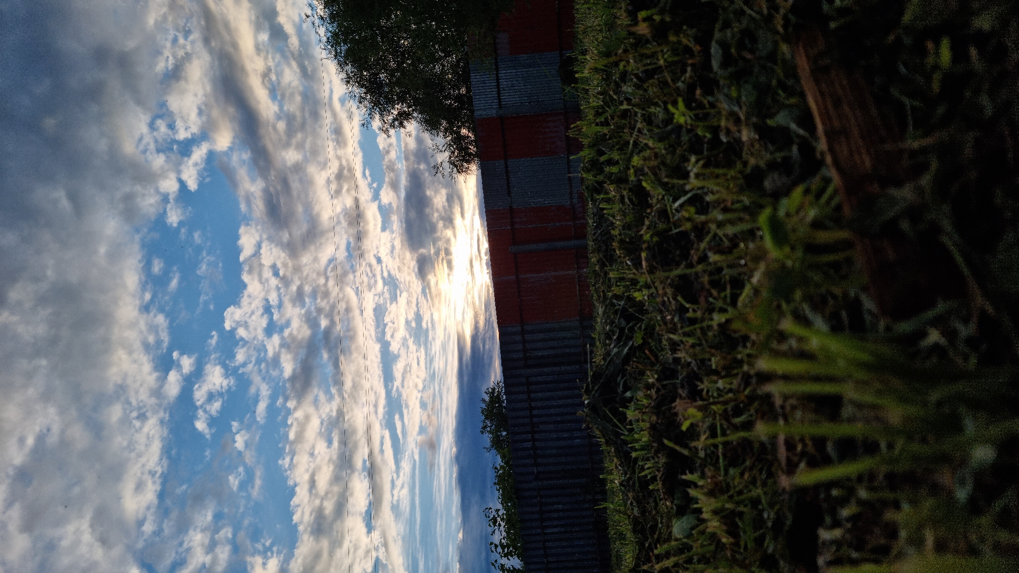 The image depicts a low-angle view of a grassy area in front of a corrugated metal fence. The fence appears to be constructed from alternating sections of gray and reddish-orange corrugated metal panels, with vertical supports visible. Behind the fence, a line of trees and foliage can be seen against a sky filled with a mix of white and gray clouds. The sun is visible, partially obscured by clouds, suggesting either sunrise or sunset. The foreground is dominated by dark, out-of-focus grass and some debris, possibly fallen leaves or twigs. There are no people or animals present in the frame. The scene is set outdoors, likely in a rural or semi-urban setting, given the fence and natural elements. The location is identified as Vysokoe, Russia.