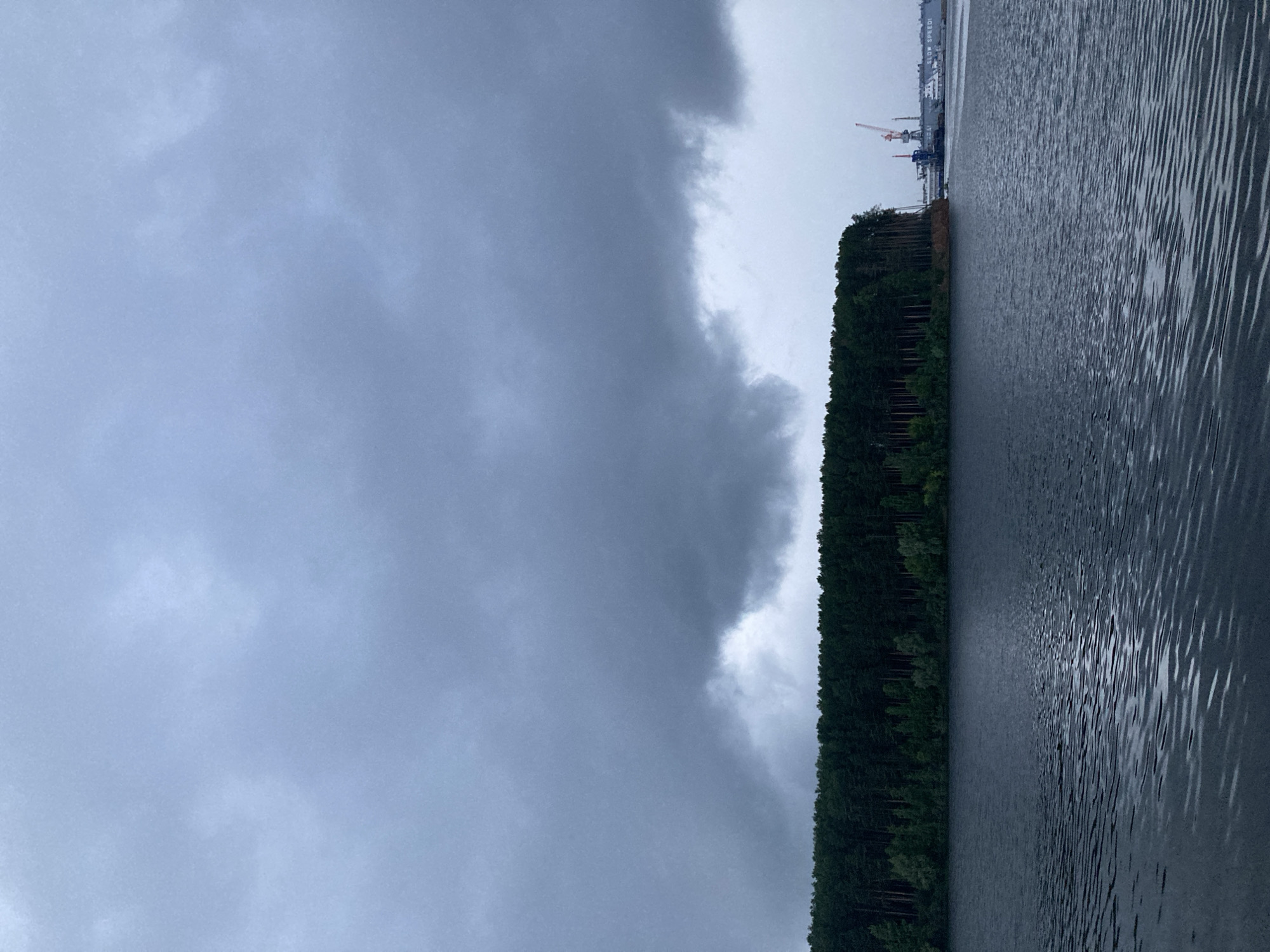 The image depicts a wide body of water, possibly a river or lake, with a dark, choppy surface reflecting the overcast sky. On the horizon, a dense, dark green forest lines the shore. Further to the right, industrial structures are visible, including cranes and ships at a dock. The sky is filled with heavy, grey clouds, suggesting an impending storm or gloomy weather. This scene is characteristic of the Kama River embankment in the city of Chaikovsky, Russia, known for its industrial port and natural scenery. No people are visible in the image.