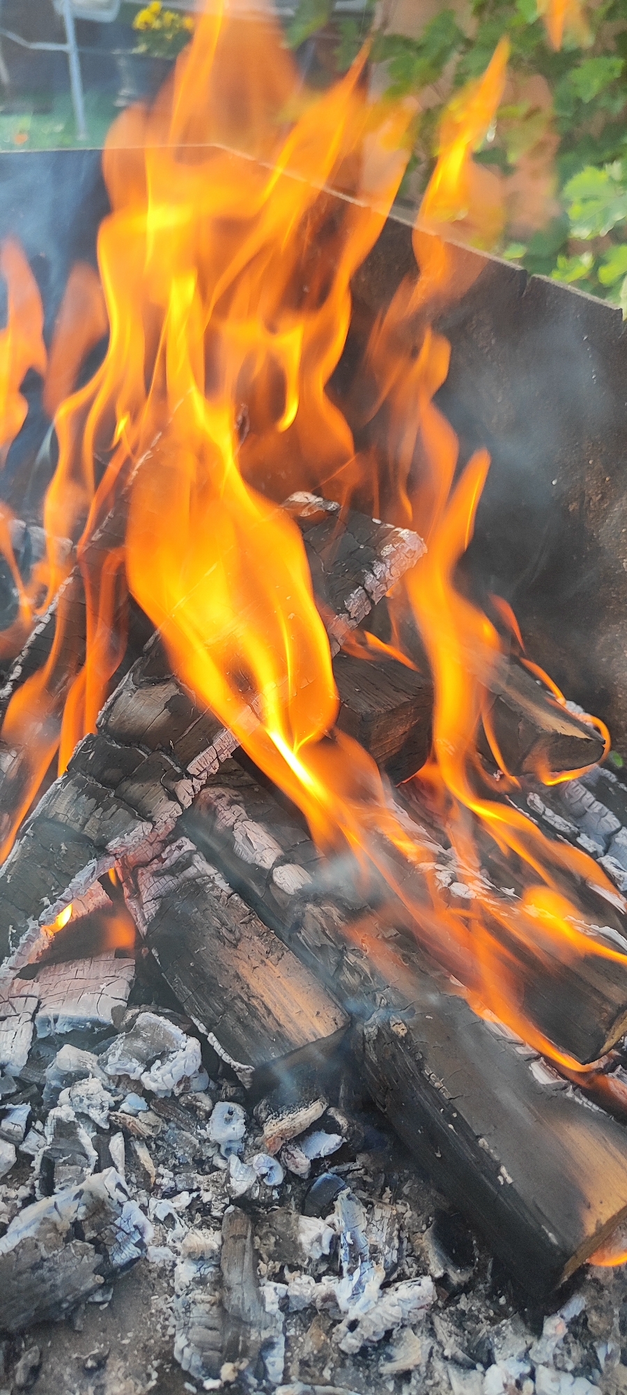 A close-up, outdoor, vertical shot depicts a bonfire with vibrant orange flames licking and engulfing charred logs and white ash in what appears to be a yard in the Lioznenski selski Savet region of Belarus. The wood is heavily burnt and appears to be in various stages of combustion, with some pieces still intact and others reduced to glowing embers. Smoke drifts upwards and to the left, obscuring parts of the background which shows a hint of green foliage and possibly a fence or outdoor furniture, suggesting a domestic or recreational setting. The focus is on the intensity and movement of the fire, highlighting the textures of the burning wood and ash. There are no people or animals visible in the image.