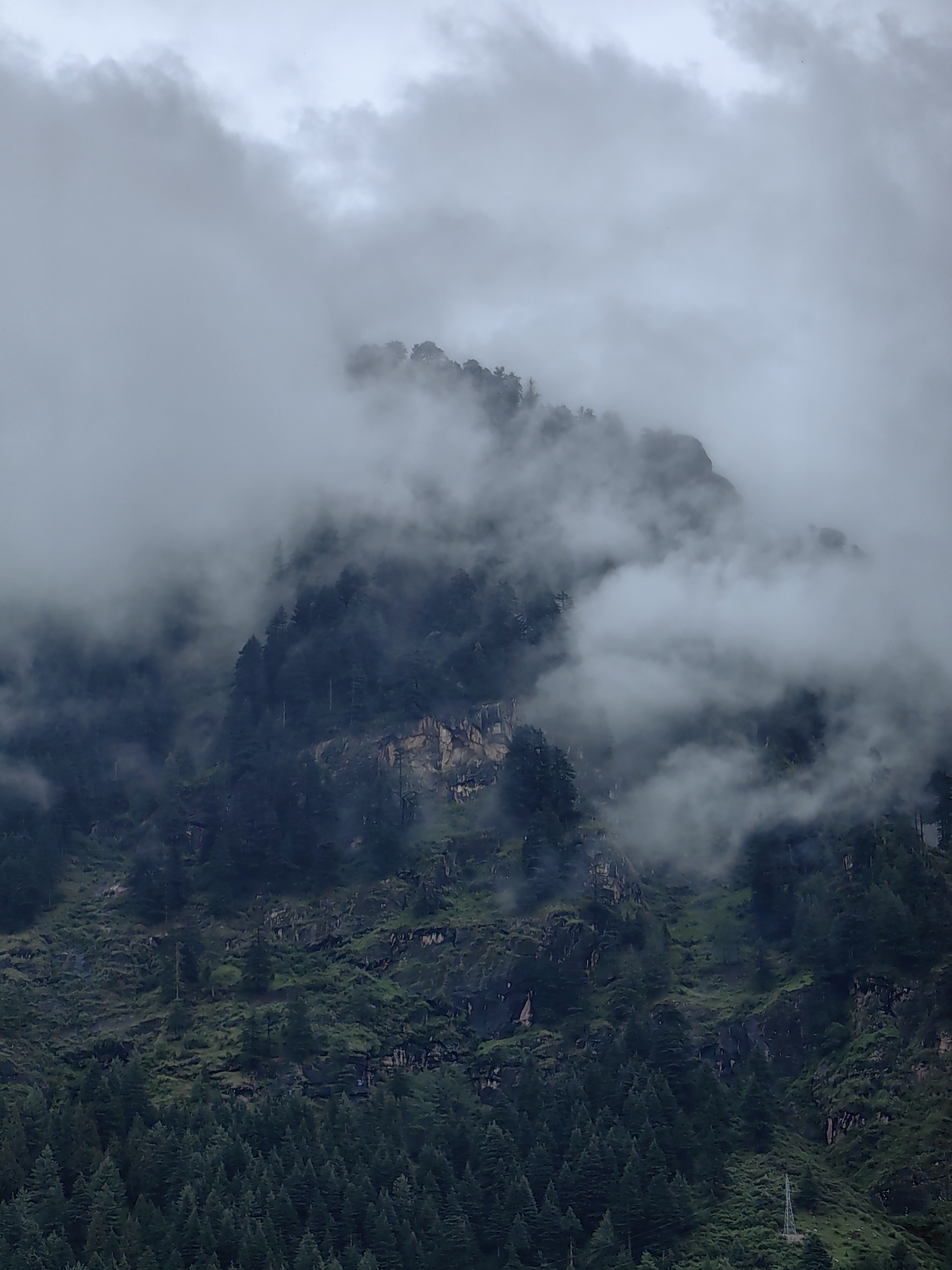 An overcast, cloudy sky hangs over a lush green mountain range, partially shrouded in mist. The upper slopes are covered in dense coniferous trees, their dark green foliage stark against the gray clouds. Patches of exposed rock and scrubby vegetation are visible through the mist on the mid-slopes. A small, metal tower, possibly for power lines, is visible on the lower right slope. The image appears to be of a mountainous area, possibly Siumsa, India, given the mention of its location.