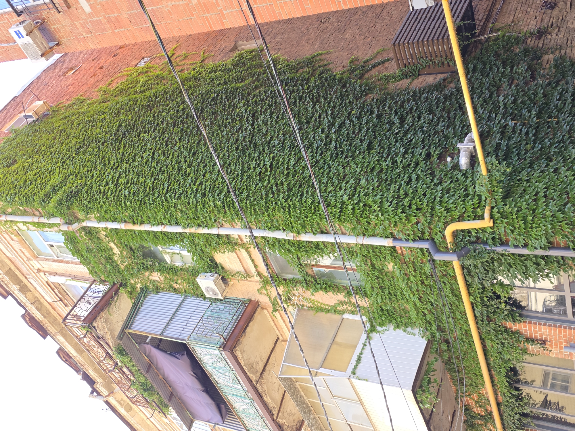 A low-angle exterior shot shows the brick facade of an old building in Rostov-on-Don, Russia, heavily overgrown with green ivy. The building features balconies with ornate metal railings and weathered balconies with corrugated metal coverings. Yellow gas pipes run horizontally across the facade, intersecting with a vertical downspout. An air conditioning unit is visible mounted on the wall. Overhead, electrical wires cross the frame. The building appears to be multi-story, with windows visible between the ivy. The overall impression is one of aged architecture integrated with natural overgrowth.