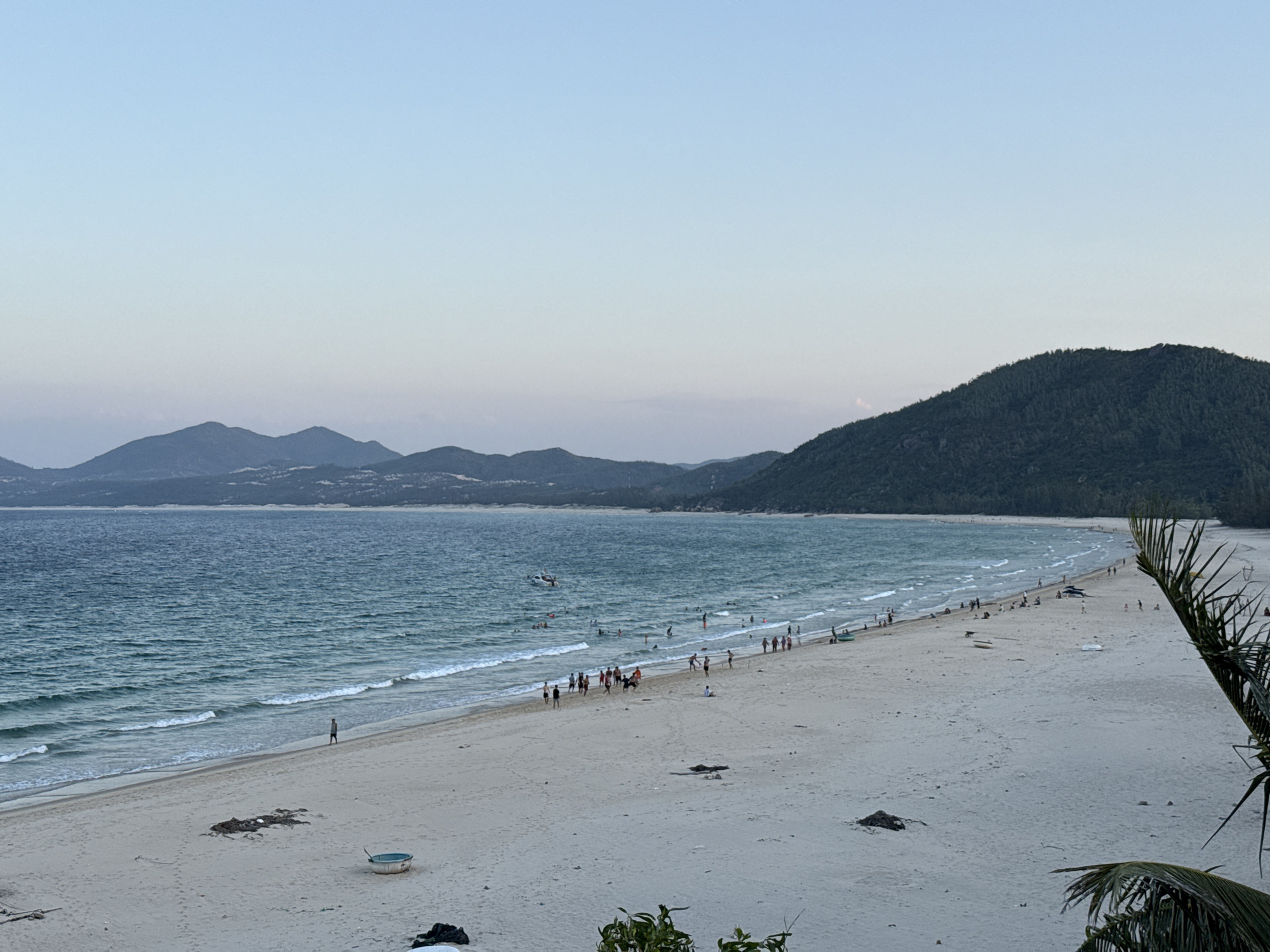 The image depicts a wide, sandy beach in Song Cau, Vietnam, during what appears to be late afternoon or early evening, given the soft, diffused light and the clear, pale blue sky. The ocean, a tranquil turquoise, gently laps against the shore with small, white-capped waves. In the distance, a chain of low, dark green, tree-covered mountains forms a hazy backdrop against the horizon.
The beach is populated by a moderate number of people. Some are scattered along the waterline, wading or swimming in the shallow sea. A group of individuals is gathered closer to the shore, possibly interacting or observing something. Others are spread out across the sand, walking or relaxing. A small, white boat, possibly a fishing boat, is visible near the edge of the water. Another small, round, boat-like object is situated on the sand further inland. Scattered debris, including dark-colored seaweed and some plastic items, is present on the sand. A few palm fronds are visible in the foreground on the right side of the image, suggesting a tropical or subtropical environment. The overall atmosphere is peaceful and serene, indicative of a leisurely day at the beach.