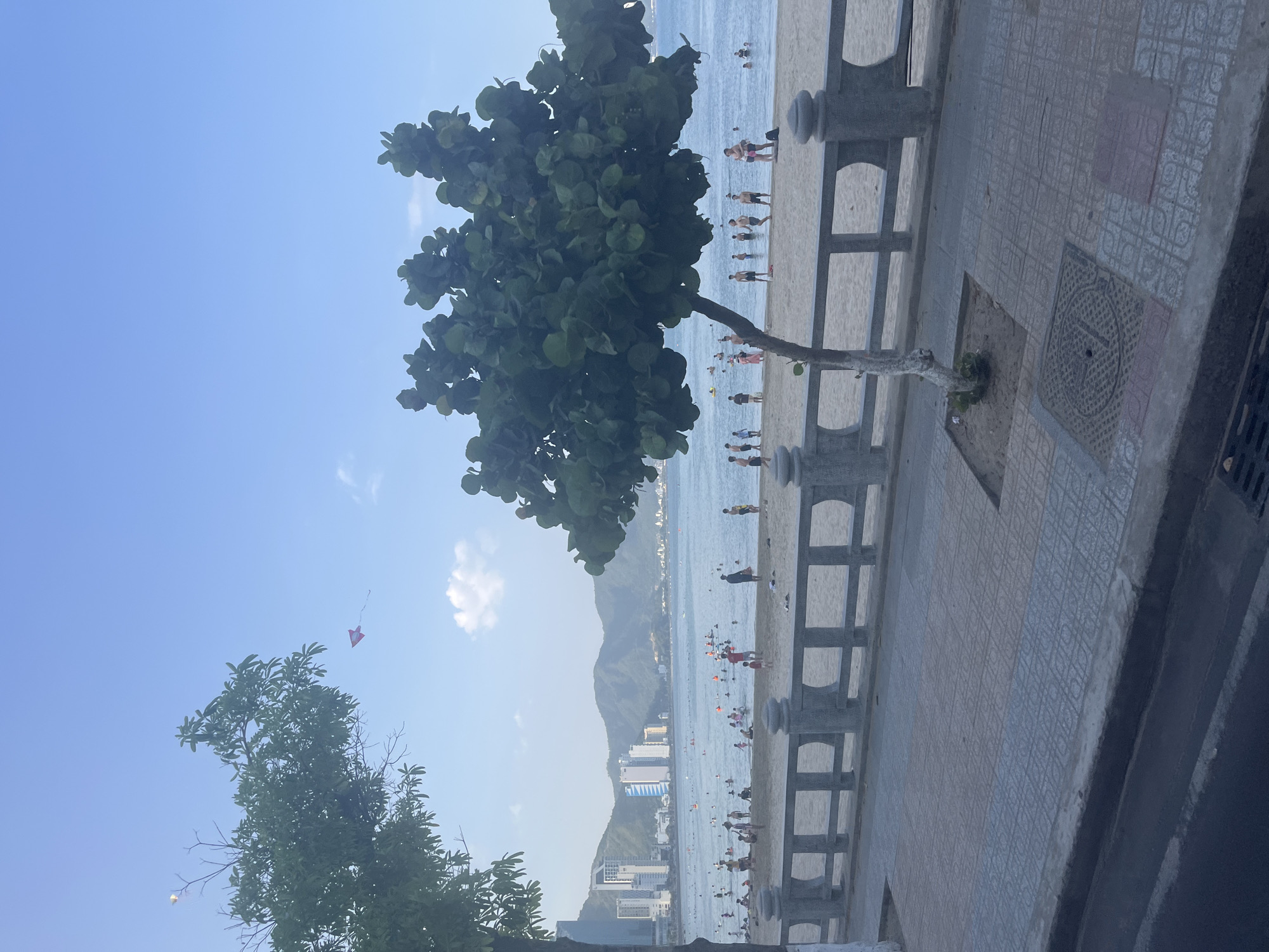 The image depicts a sunny day at a beach in Nha Trang, Vietnam, with the city skyline visible in the background. The foreground features a paved walkway with a stone railing separating it from the sandy beach. Several trees are present, one with large, round leaves in the center and another taller tree with sparser foliage on the left.
The beach is populated with numerous people, some swimming or wading in the ocean, while others are on the sand. The water is a calm blue, and the sky is clear with a few scattered white clouds. In the distance, mountainous terrain forms a backdrop to the city's modern buildings. A kite can be seen flying in the sky. The overall scene conveys a sense of leisure and a typical day at the beach.