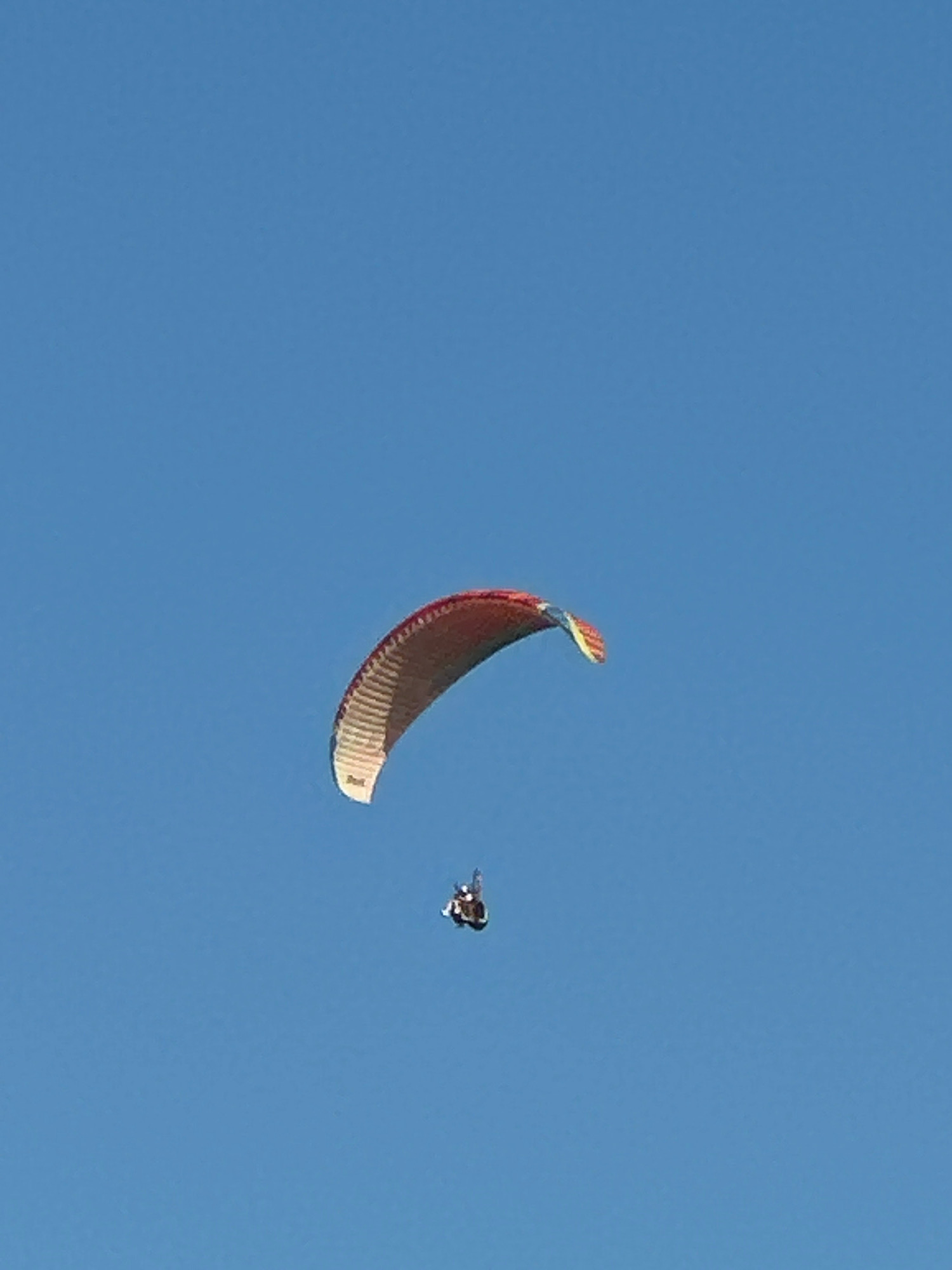 A paraglider is captured mid-flight against a clear blue sky. The paraglider's wing is a vibrant mix of red, orange, and yellow, with white fabric visible on the underside. Attached to the wing by lines, a person is suspended in a harness. The individual appears to be in a seated position, focused on steering the paraglider. The scene is devoid of any surrounding landscape or structures, suggesting an aerial perspective. The absence of any context about Boreti, Montenegro, indicates that the image was taken high in the atmosphere, far from any specific city location.