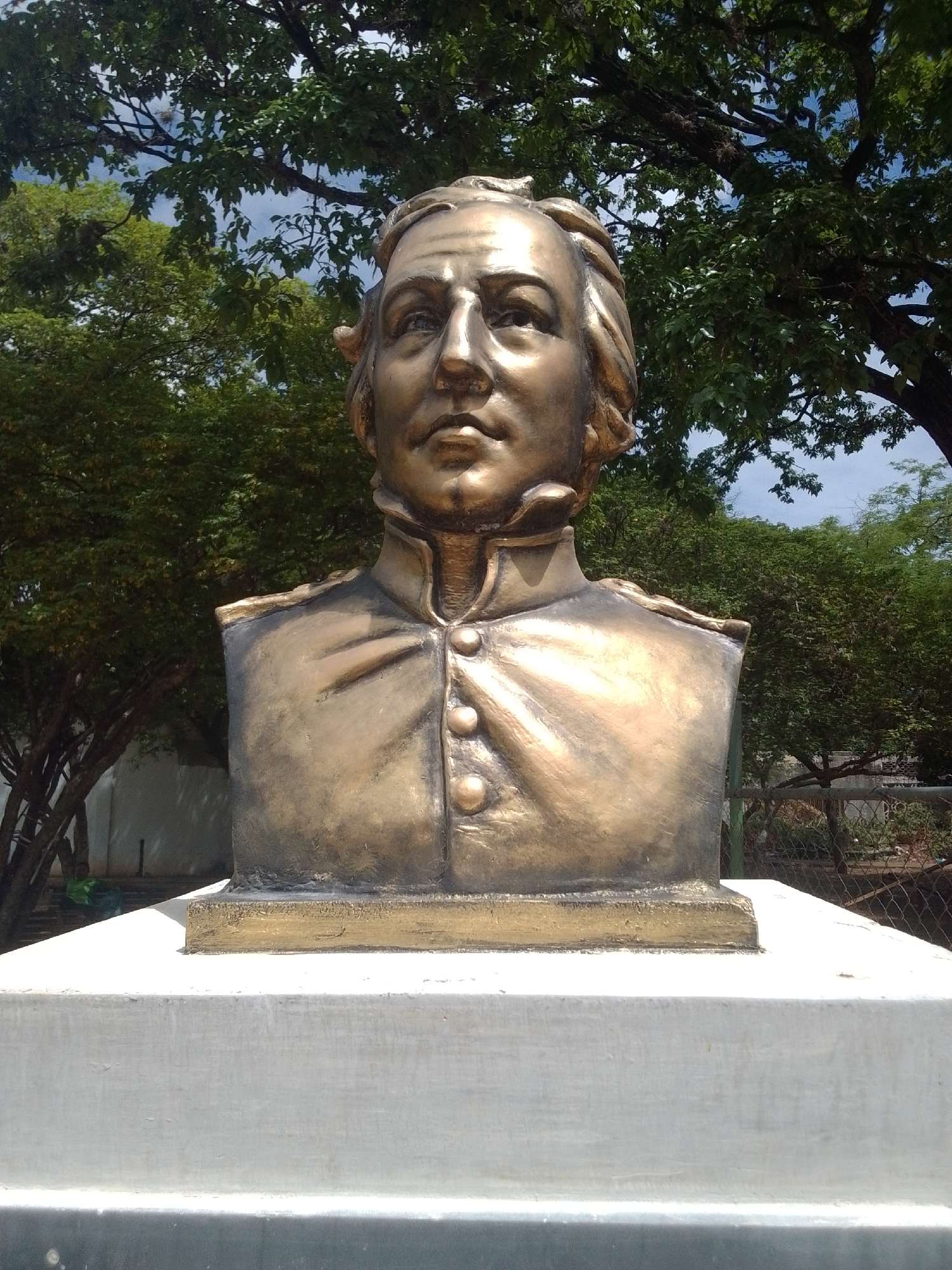 This is a photograph of a bronze bust of a man, likely a historical figure. The bust is mounted on a white, rectangular pedestal, which is itself on a larger concrete base. The man depicted has a serious expression, with his head turned slightly to his left. He is wearing a uniform with a high collar and several buttons down the front. The lighting suggests it is daytime, with sunlight glinting off the bronze.
In the background, lush green trees with dense foliage fill the frame. Some of these trees are quite large and their branches extend overhead, creating a natural canopy. The sky is visible through the leaves, appearing partly cloudy. To the right, a chain-link fence is partially visible, separating the foreground from a more distant, overgrown area with some scattered debris. To the left, there are more trees and a glimpse of a white wall. The overall scene is outdoors and appears to be in a park or public space. The location context provided is La Tagua, Venezuela. No text is visible in the image.