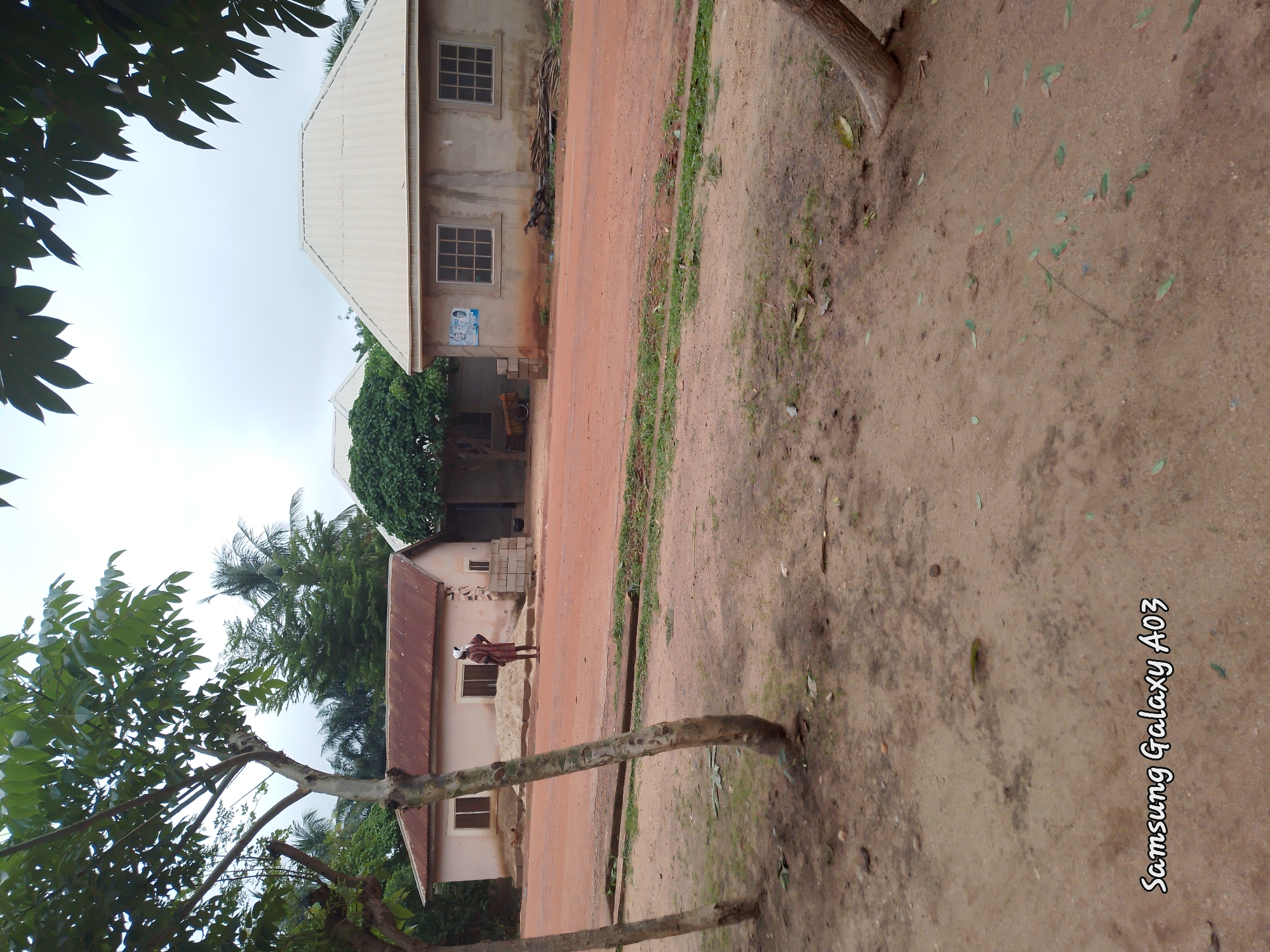 A street scene in Doka-Tofa, Nigeria, shows two houses on either side of a dirt road. The house on the left has a pink exterior and a corrugated metal roof. A person in a striped shirt and white head covering stands in front of it. The house on the right is concrete with a light-colored metal roof and multiple windows. A poster is visible on its exterior wall. Trees with green foliage are present in the foreground and background, framing the view of the houses. The ground is a mix of dirt and sand, with some scattered leaves and patches of grass. The sky is overcast.