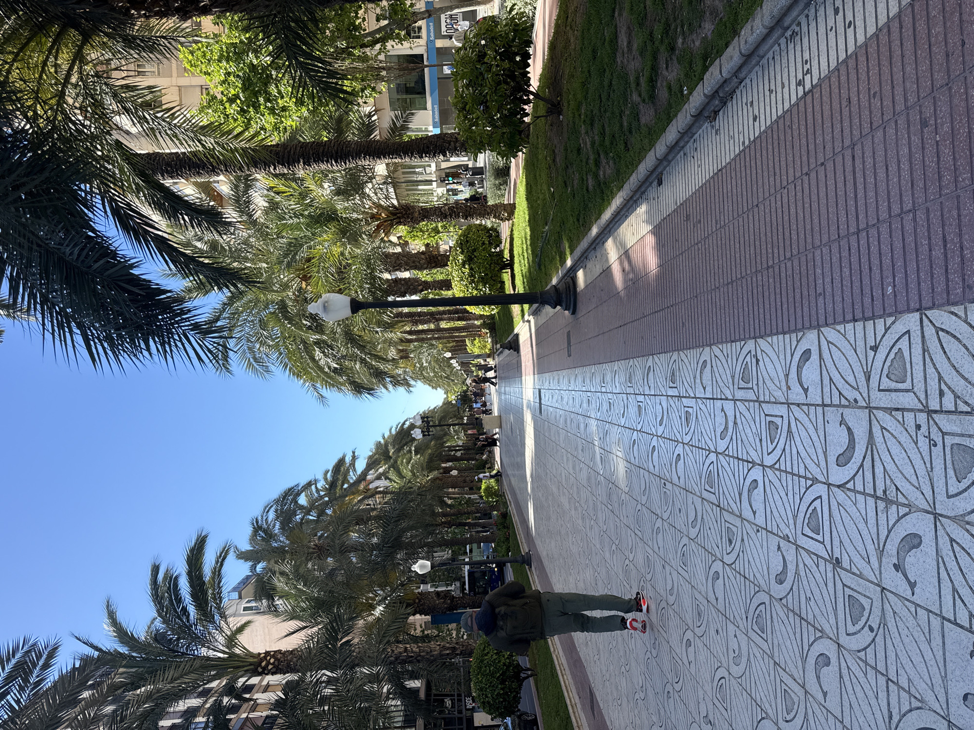 A street view shows a pedestrian walkway in the city of Unknown, lined with palm trees and ornate street lamps. A person is walking away from the camera. The patterned tiling and neat curb suggest a well-maintained urban space. Other pedestrians are visible in the distance. Buildings and green spaces border the walkway.