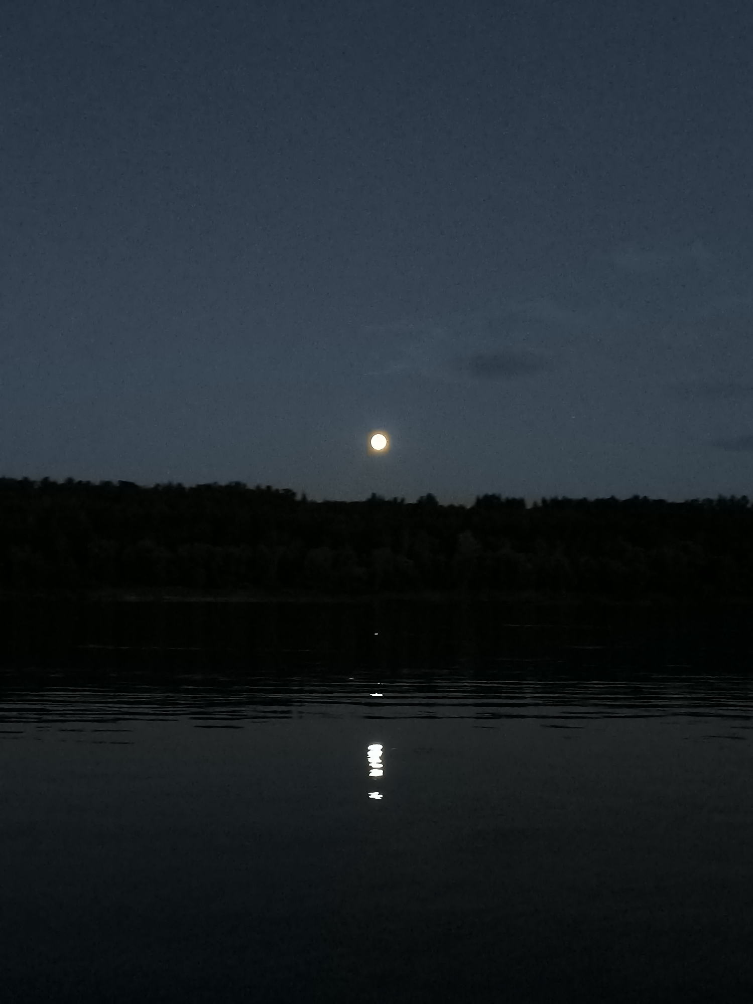 An image depicts a serene nighttime landscape in Zagotzerno, Russia. A full moon hangs high in the dark blue sky, casting a soft glow. Below the moon, a dense line of dark trees forms the horizon, suggesting a forested area. In the foreground, a calm body of water, likely a river or lake, reflects the moonlight. The water's surface is disturbed by gentle ripples, creating a shimmering effect. The scene is devoid of any human presence or activity, conveying a sense of quietude and natural beauty.