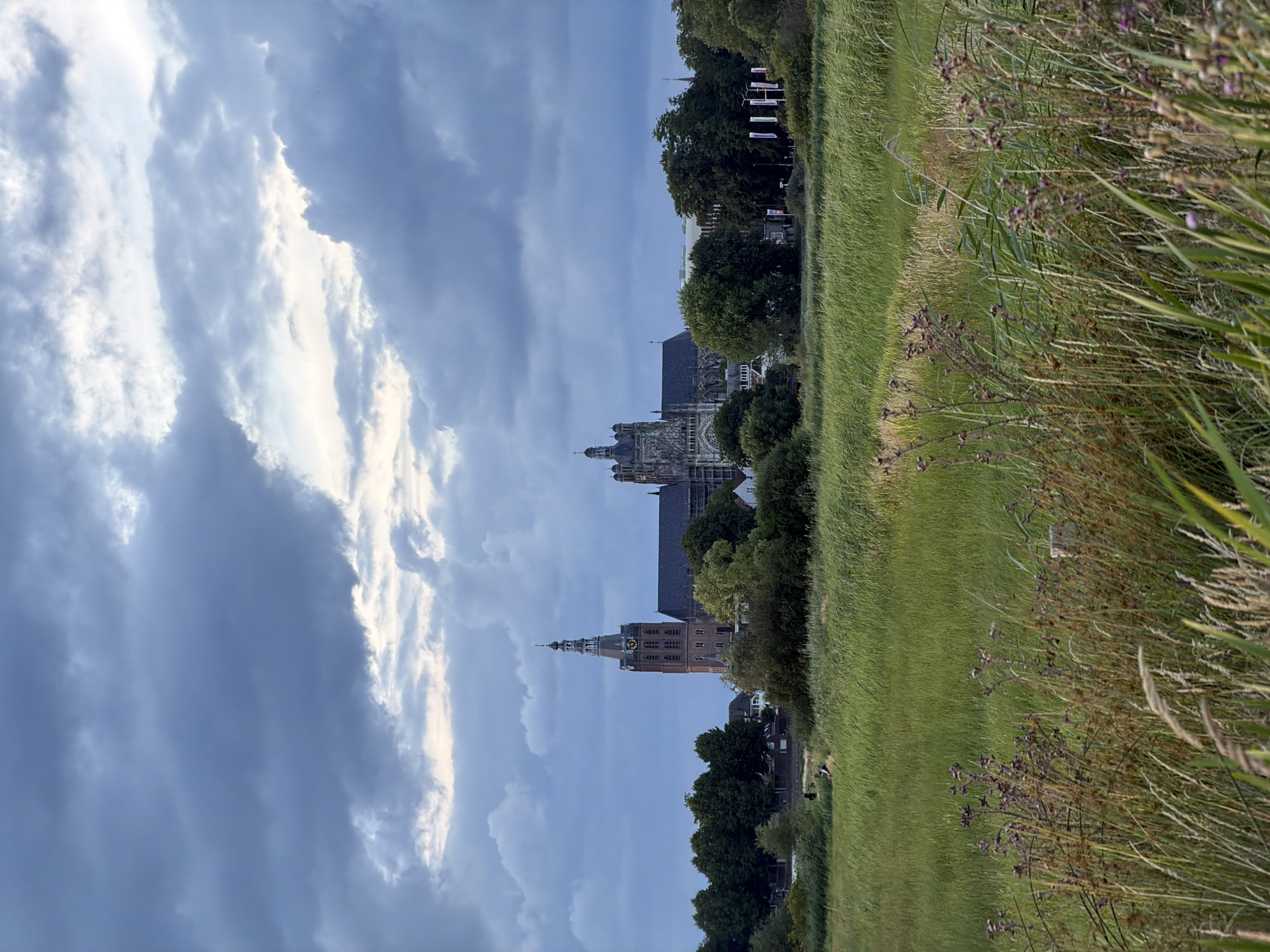 The image depicts a view of the Sint-Janskathedraal (St. John's Cathedral) in 's-Hertogenbosch, Netherlands, seen from a green, grassy field. The cathedral, a large Gothic structure with a prominent tower, is located in the background behind a line of trees. The sky is overcast with dark, dramatic clouds. The foreground is dominated by tall, green grass and some flowering plants, with a path or impression visible in the grass. There appear to be a few figures in the distance within the field, but their details are indistinct. The overall impression is of a serene, somewhat moody landscape with a significant architectural landmark.
