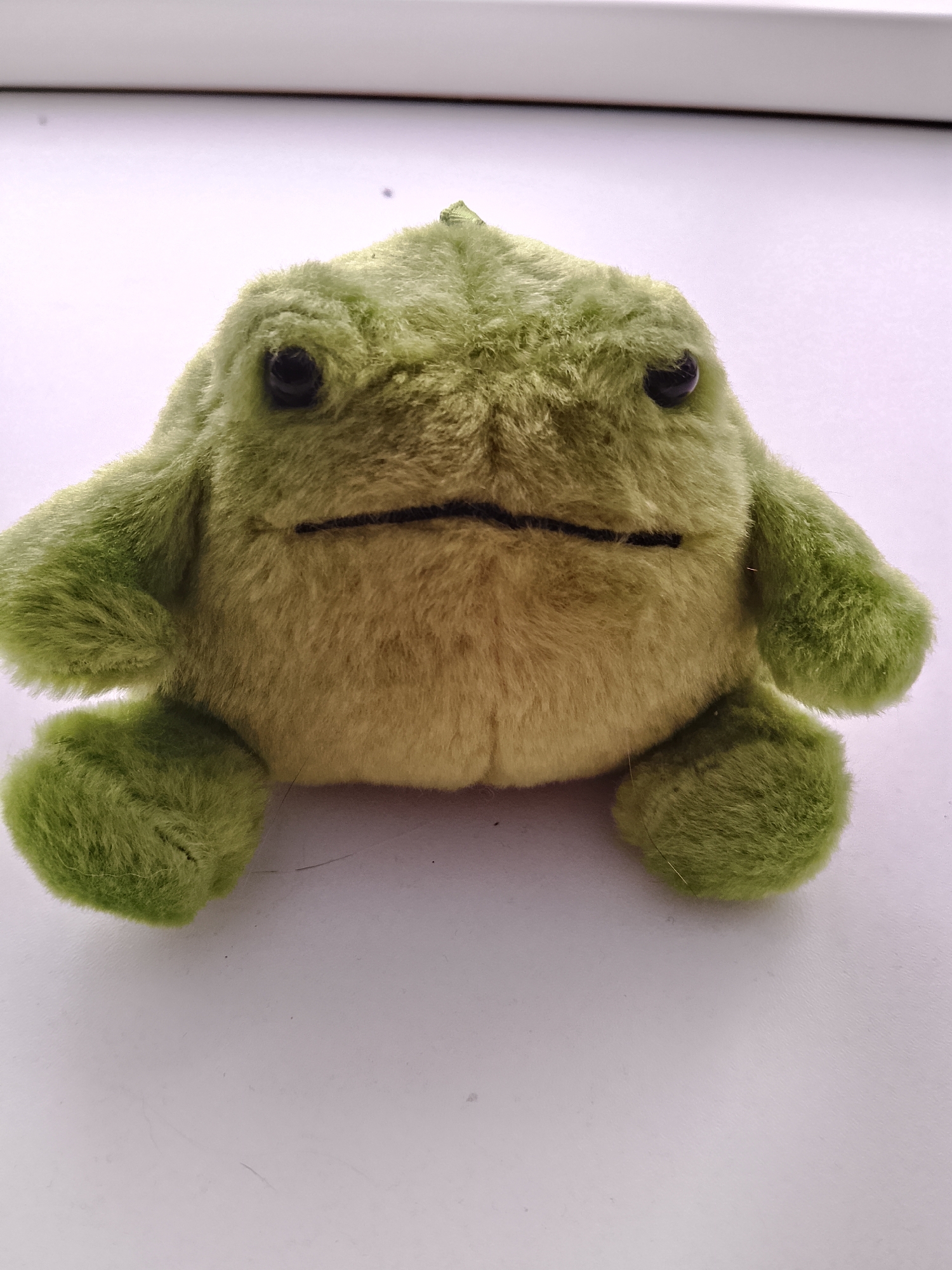 The image is a close-up, eye-level shot of a green plush frog toy. The frog is sitting on a white surface, possibly a table or shelf, with a light gray background. The frog is facing the camera, with its eyes and mouth clearly visible. The texture of the plush material is detailed, showing individual strands of fur. The lighting is even, casting soft shadows. The image is devoid of any human presence or identifiable landmarks. Therefore, the location in Abakan, Russia cannot be determined from the provided image.