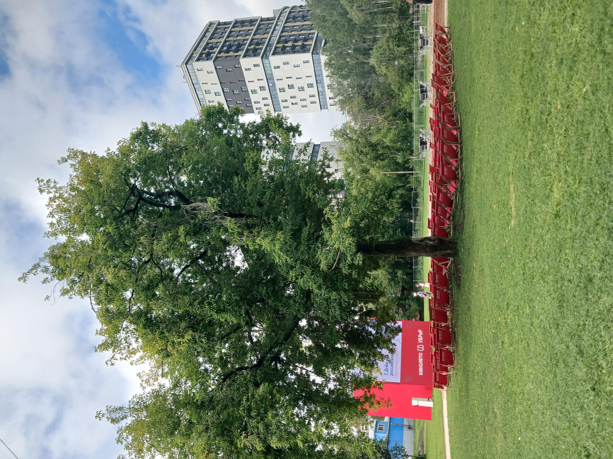 The image shows an outdoor seating area set up on a grassy field. A large tree stands prominently in the foreground, its branches extending over a semi-circular arrangement of red deck chairs. In the background, two modern high-rise buildings with a dark and light facade stand against a cloudy sky. To the left of the tree, a large red advertisement banner is visible, displaying text that appears to be in Russian, including "С Днём российской" and "КИНОЛЕТО". The overall scene suggests an outdoor event or gathering space. This location is Yekaterinburg, Russia, specifically at the "Ural Federal University" (УрФУ) campus.