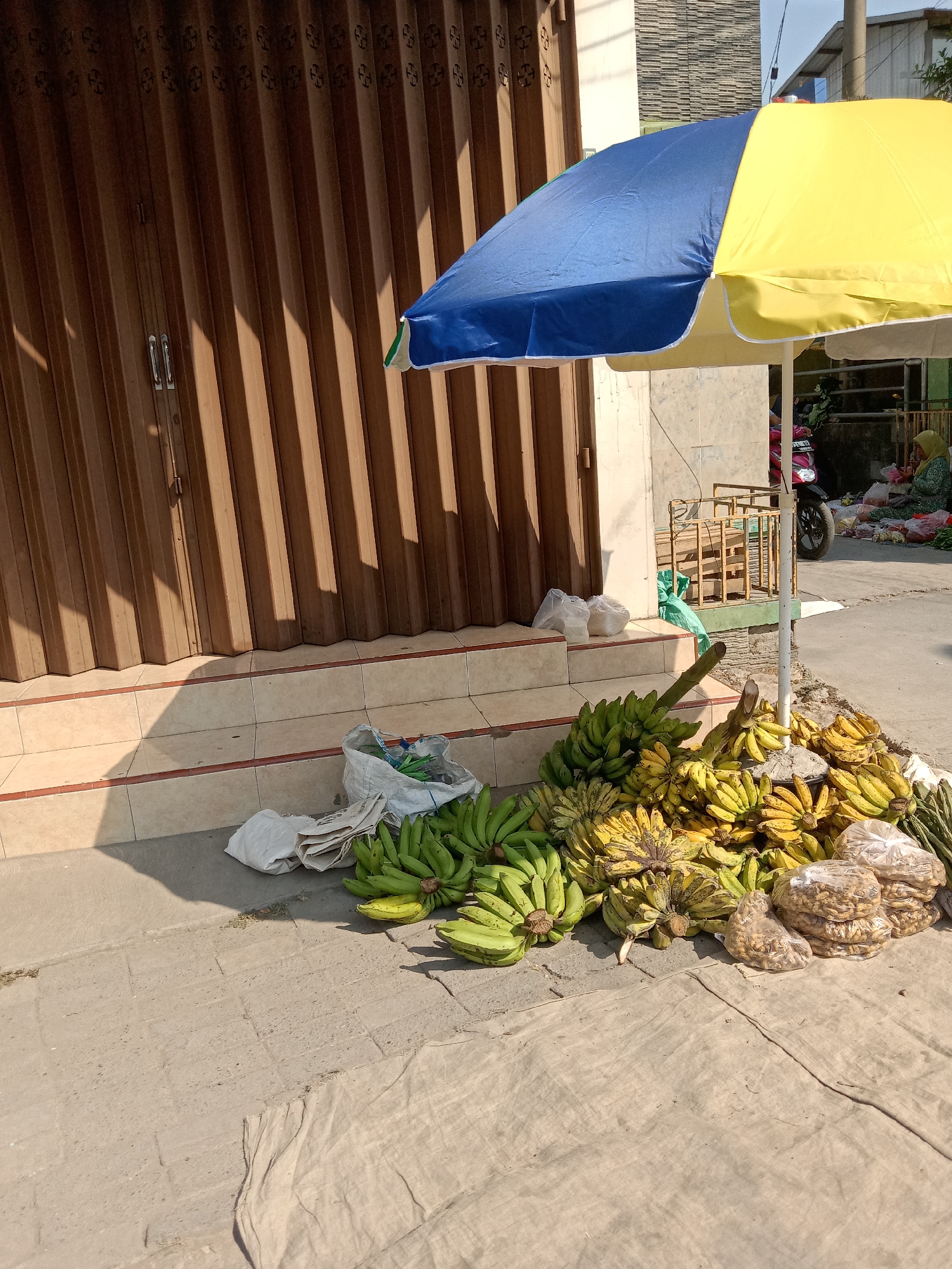 In Sugihwaras, Indonesia, a roadside fruit stand displays a large pile of ripe and green bananas under a blue and yellow umbrella. The stand is situated in front of a closed, brown corrugated metal storefront. To the left of the bananas, white plastic bags and crumpled white paper are visible on the tiled steps leading up to the storefront. Several plastic bags filled with nuts are placed on a tan fabric laid out on the ground, to the right of the bananas. In the background, a person wearing a green hijab is seated behind other produce, next to a red motorcycle. The scene is illuminated by bright sunlight, casting shadows from the umbrella and storefront onto the pavement.